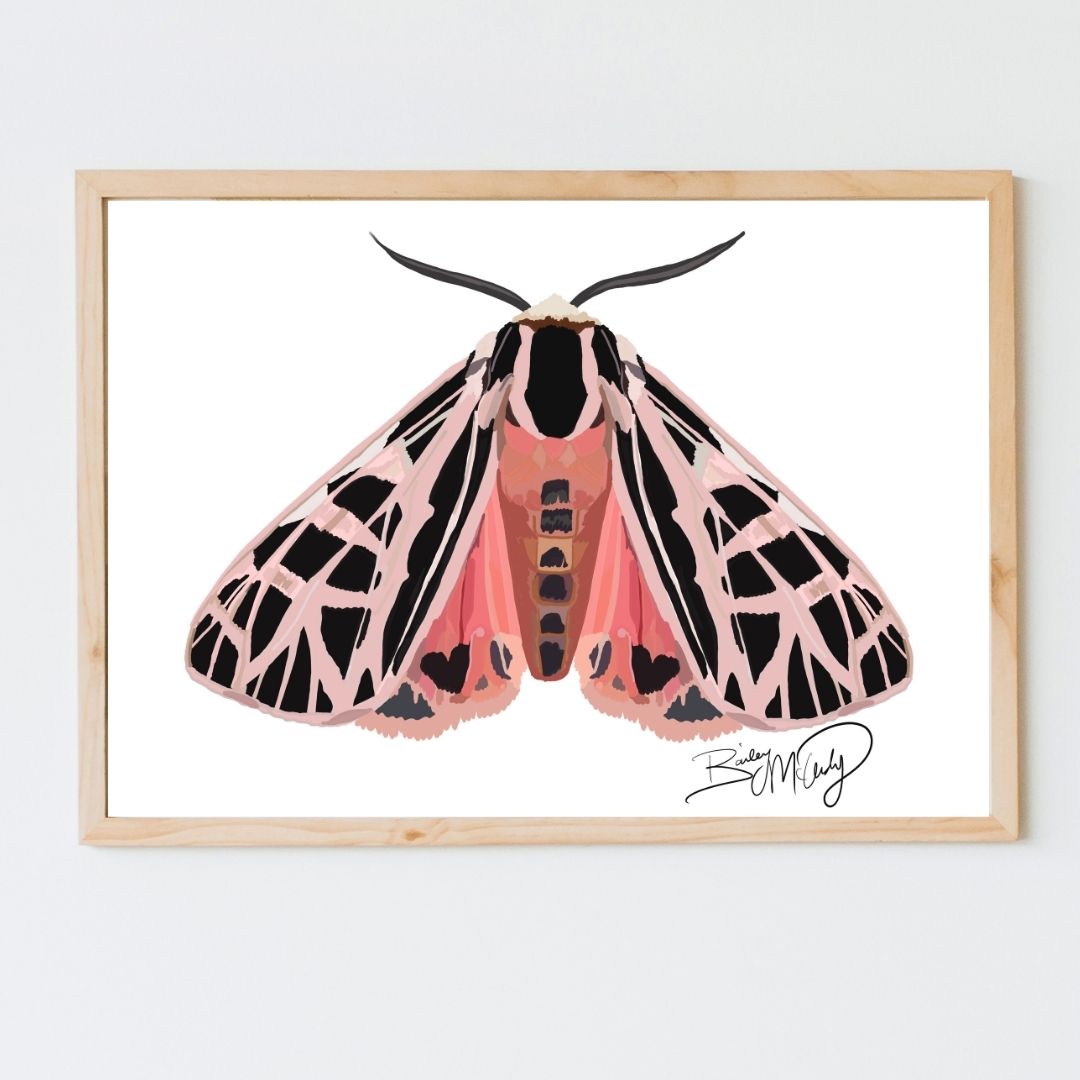 Miss Peach Parka Moth Art Print