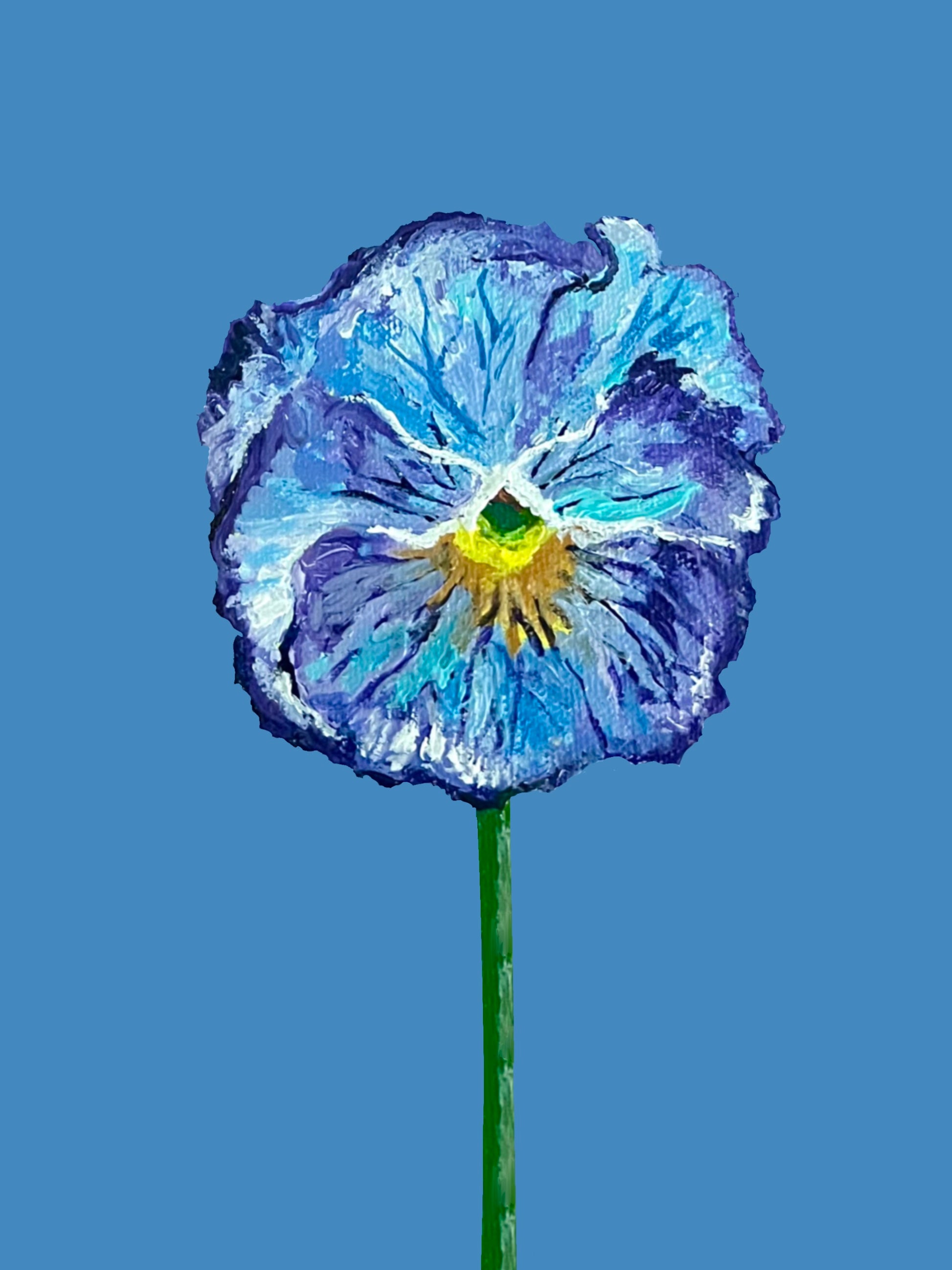 Pansie Art Print- Blue Sapphire Pansie