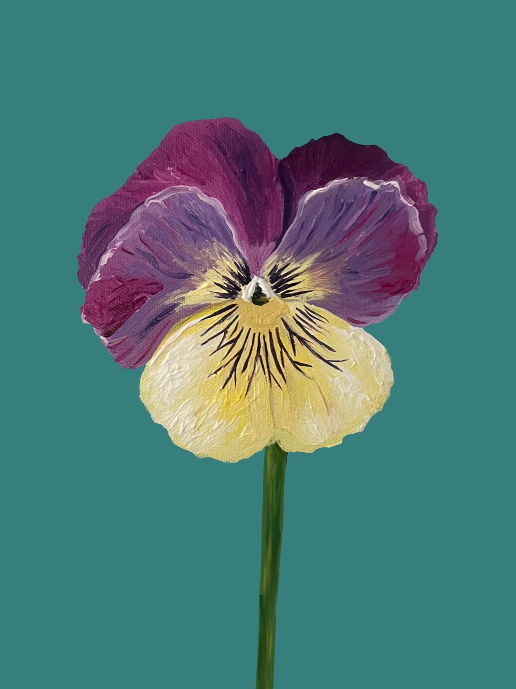 Pansie Art Print- Purple and Yellow Pansie on Teal Background