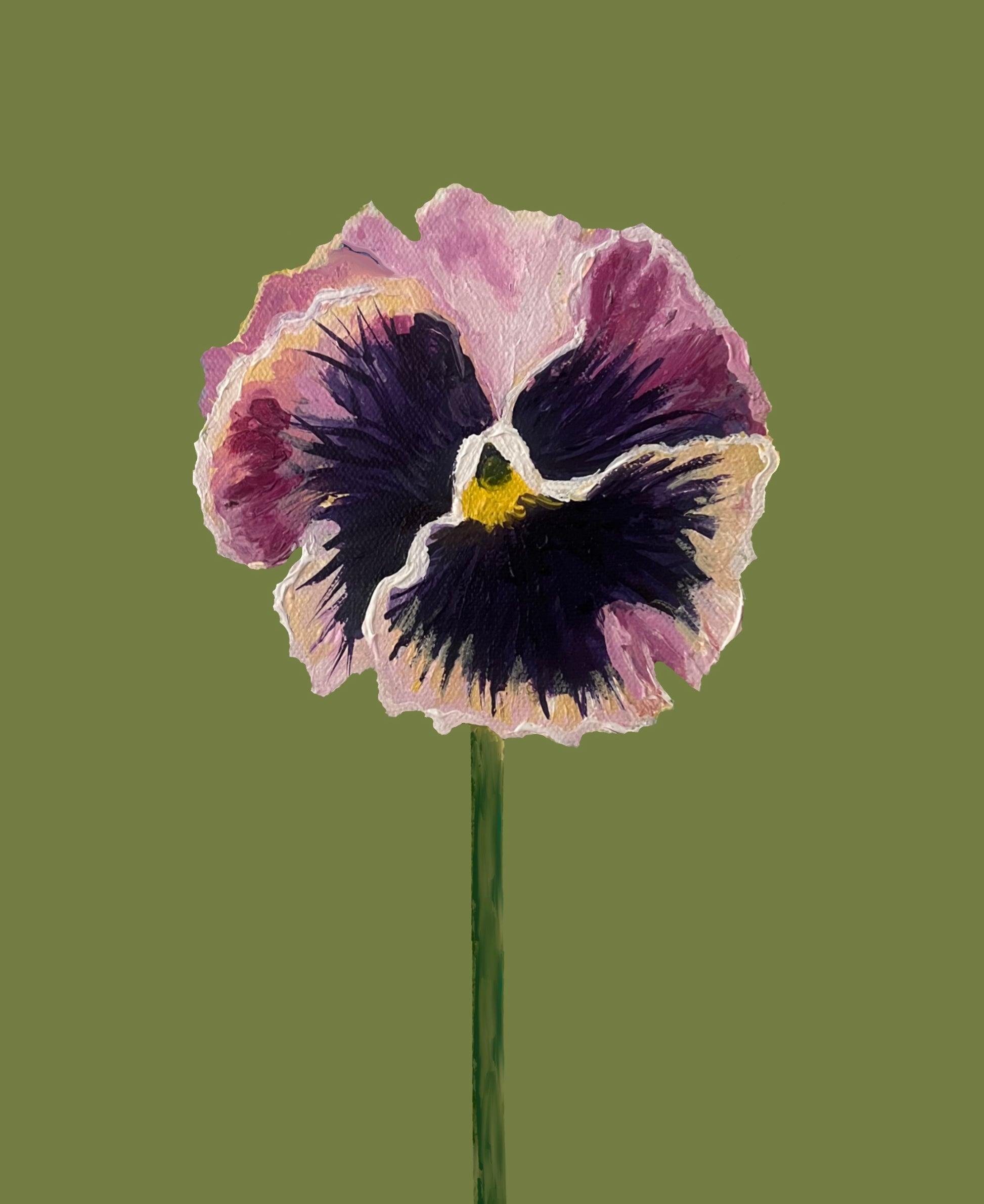 Pansie Art Print- Purple and Pink Ruffled Pansie on Olive Background