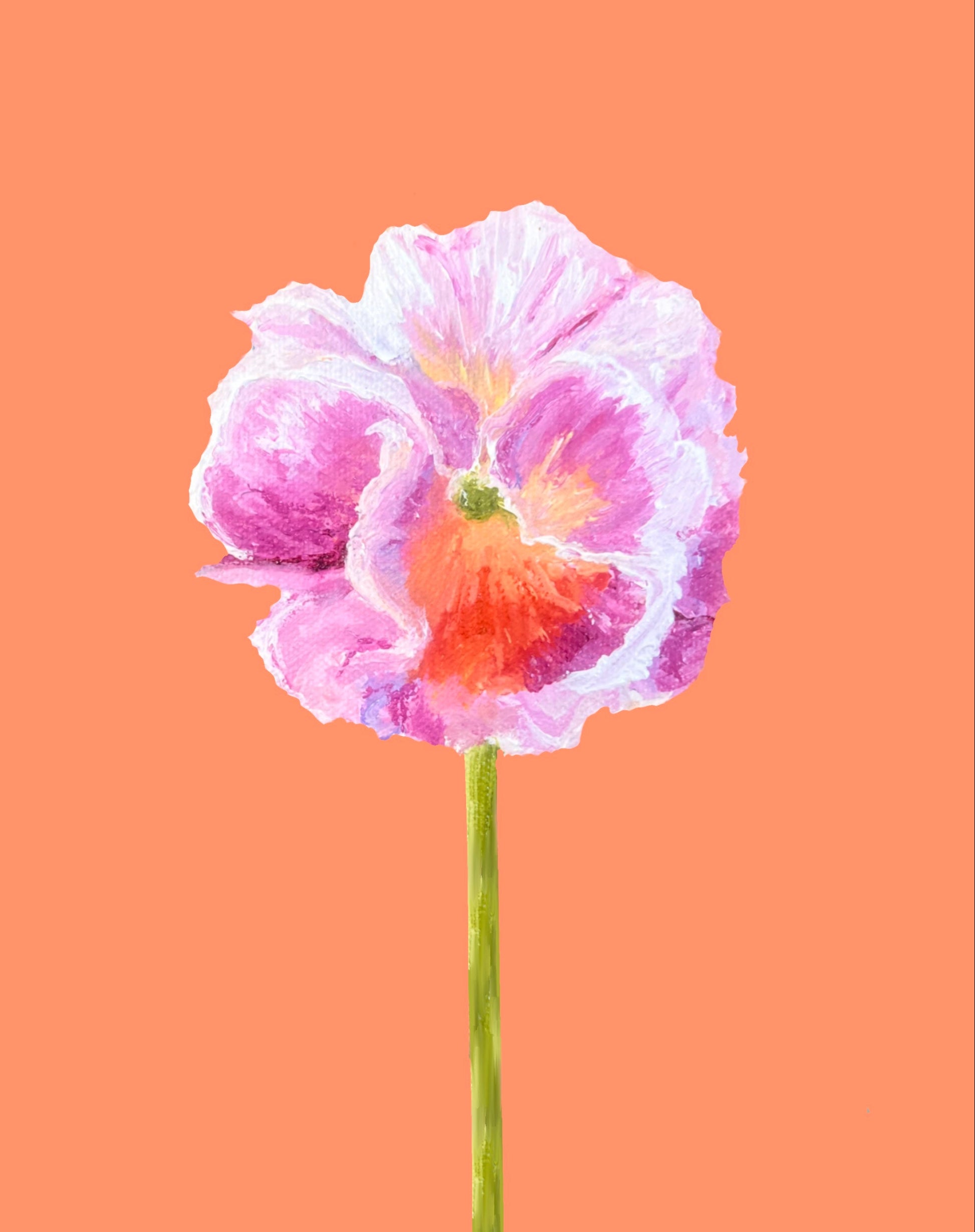 Pansie Art Print- Pink and White Ruffled Pansie on Tangerine Background