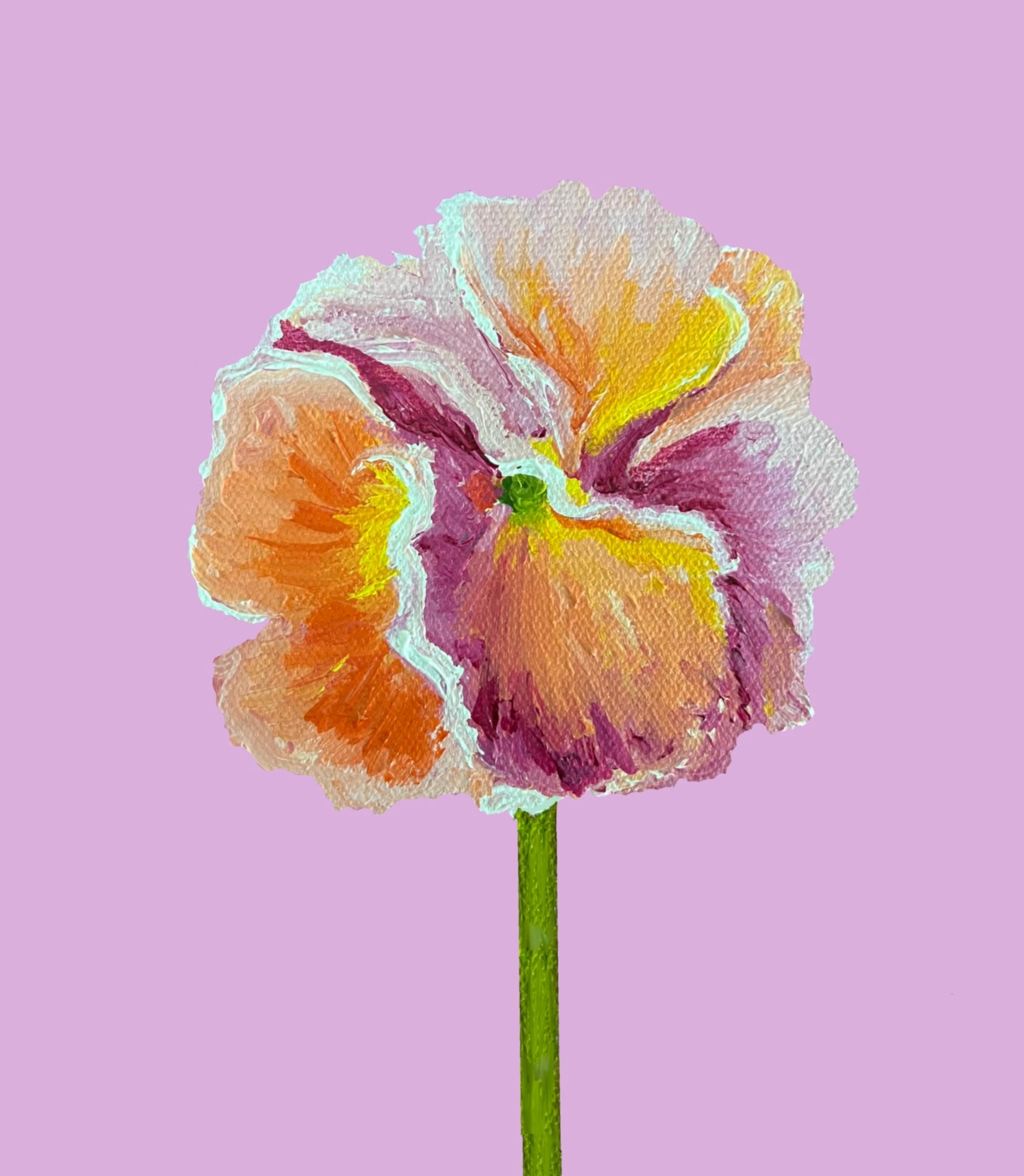 Pansie Art Print- Pink and Orange
