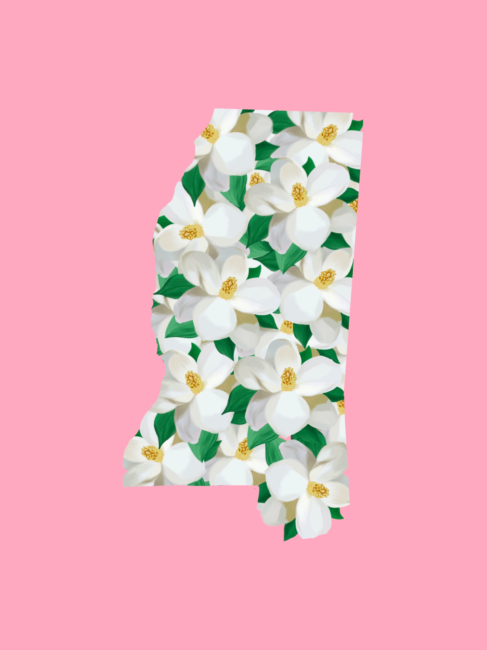 Mississippi Magnolia State Art Print on Pink