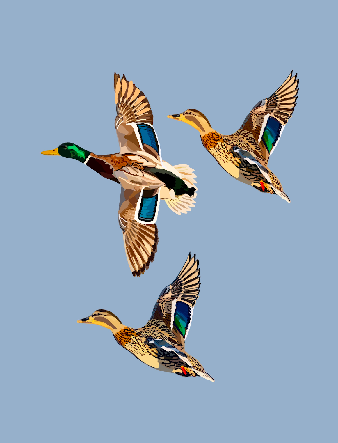 Ducks Trio Art Print Print