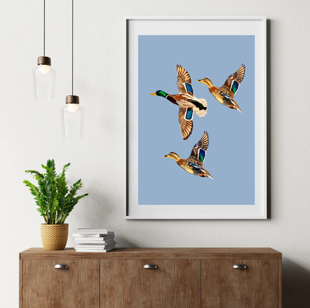 Ducks Trio Art Print Print