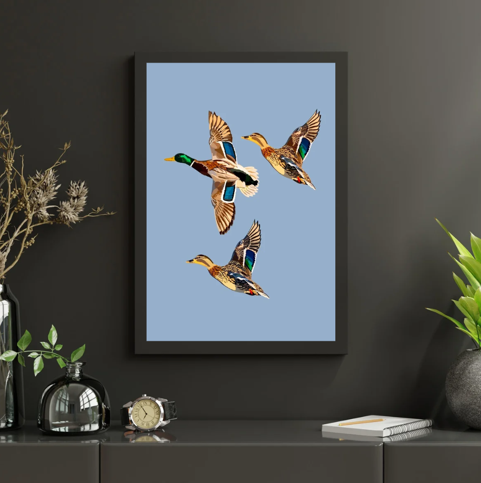 Ducks Trio Art Print Print