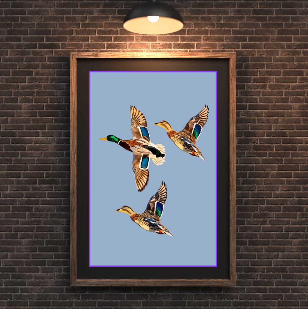 Ducks Trio Art Print Print