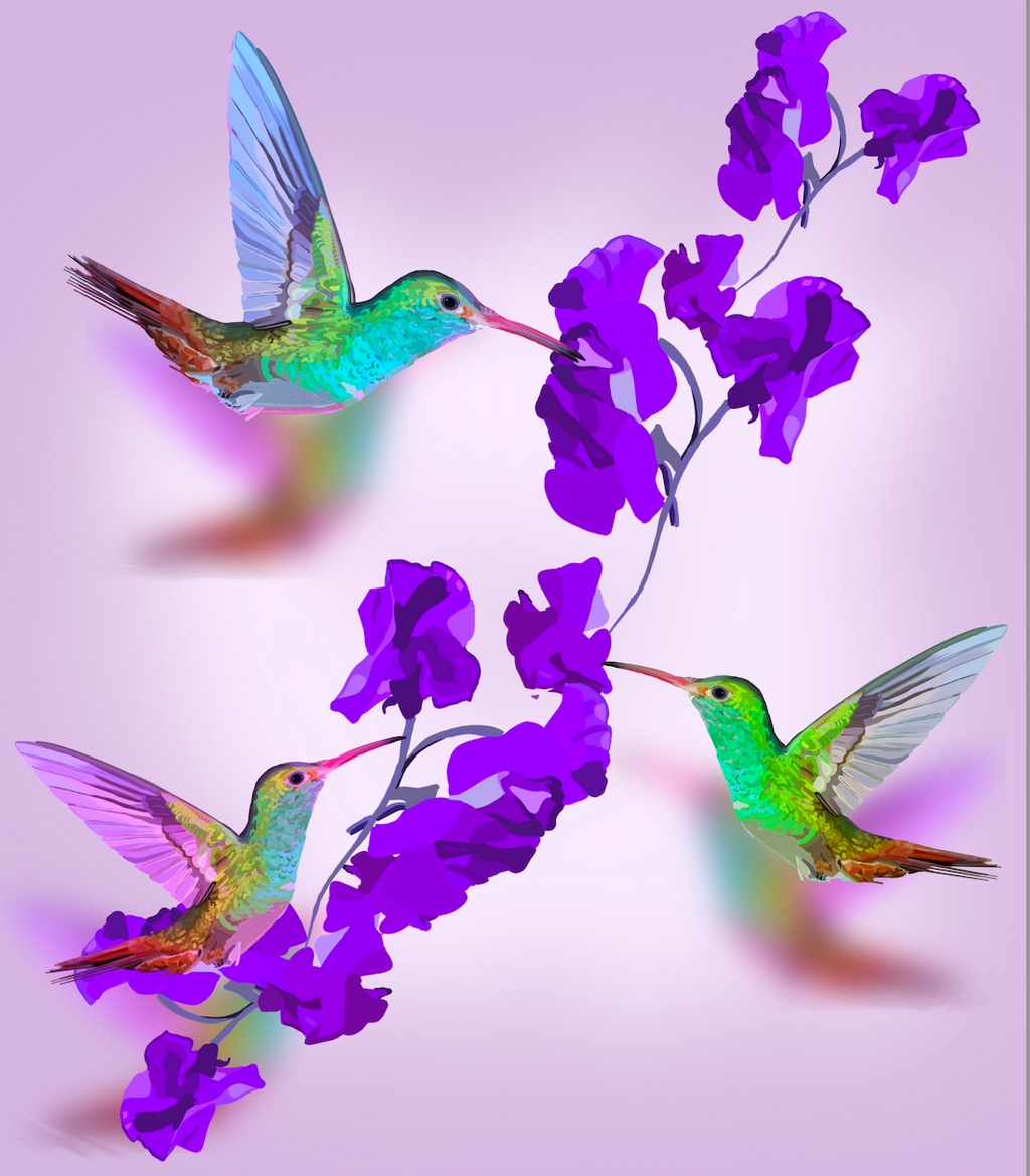 Hummingbird Charm Art Print