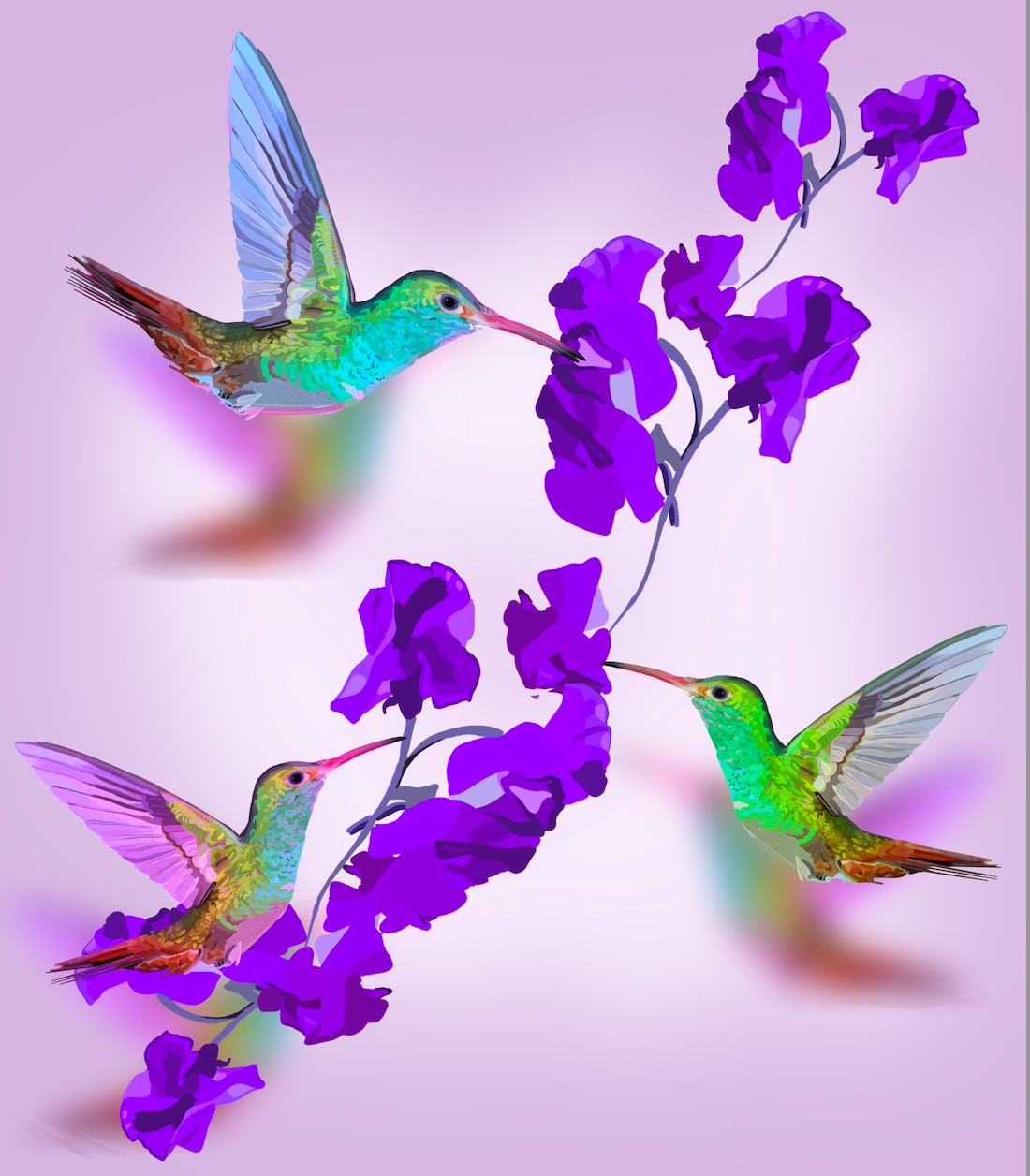 Hummingbird Charm Art Print