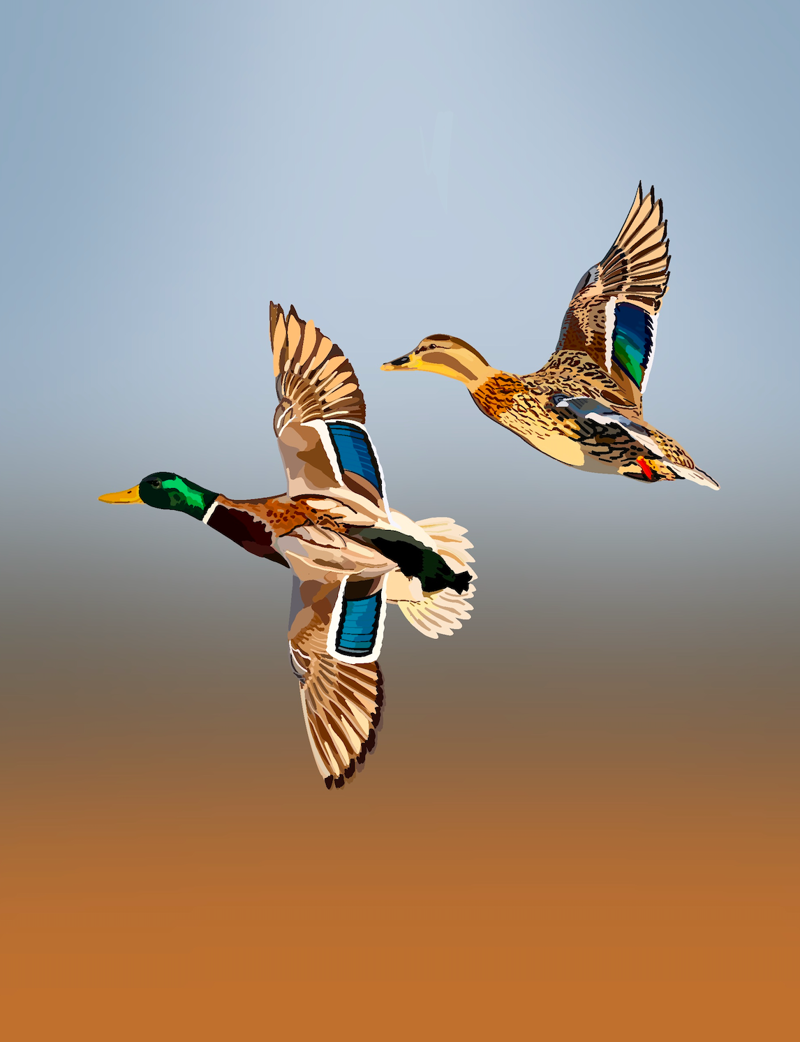 Ducks Duo Art Print Print