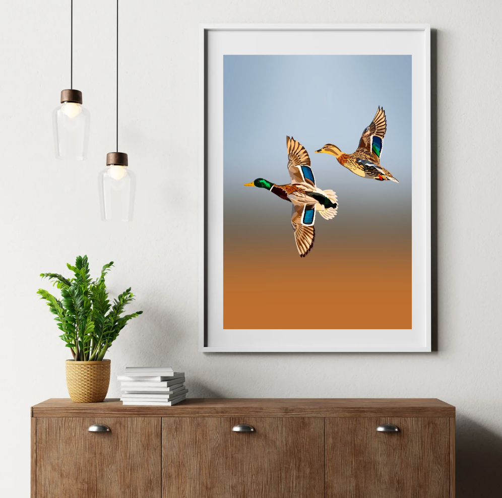 Ducks Duo Art Print Print