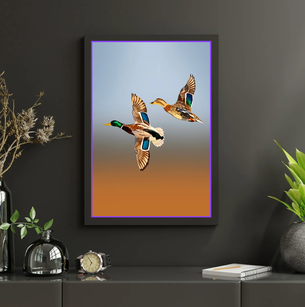 Ducks Duo Art Print Print