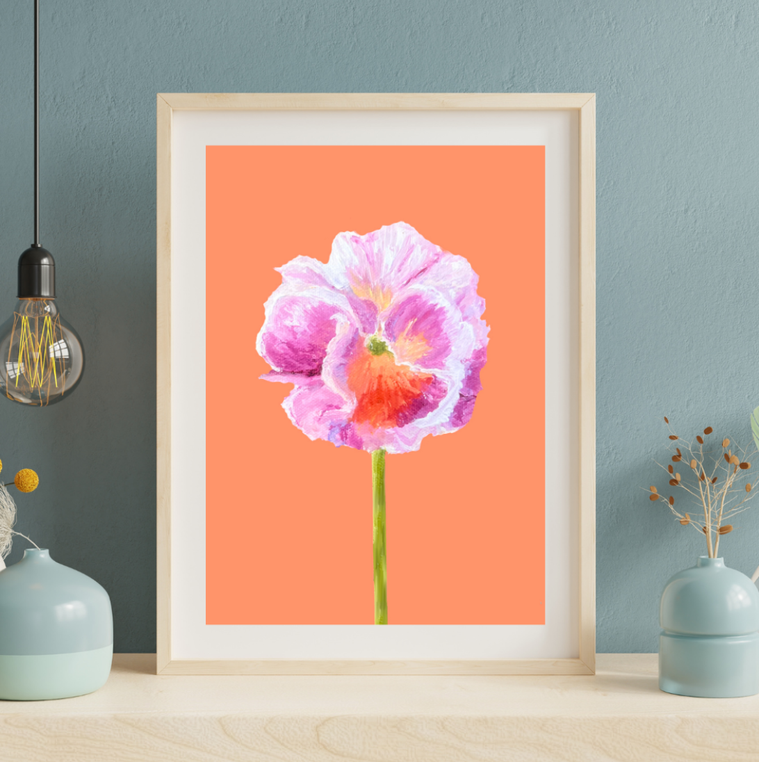 Pansie Art Print- Pink and White Ruffled Pansie on Tangerine Background