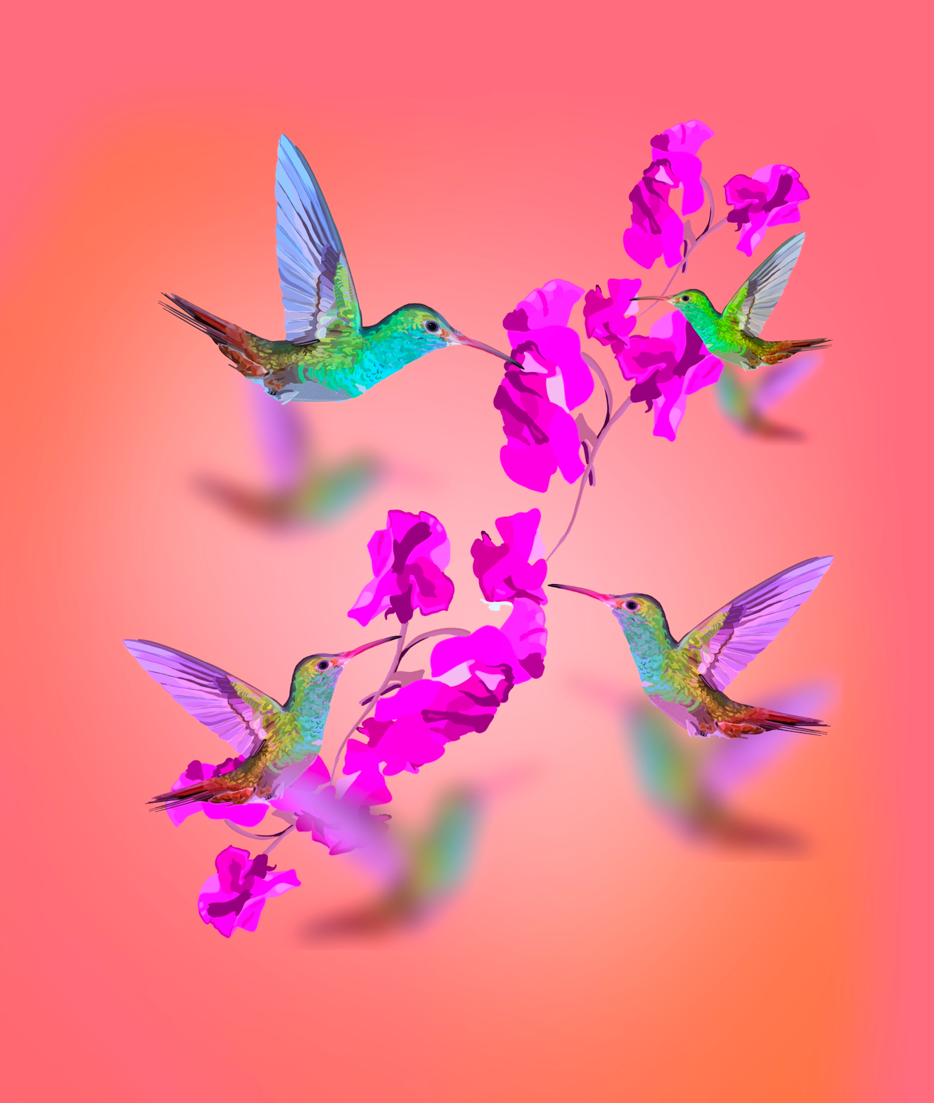 Hummingbird Charm Sunset Art Print