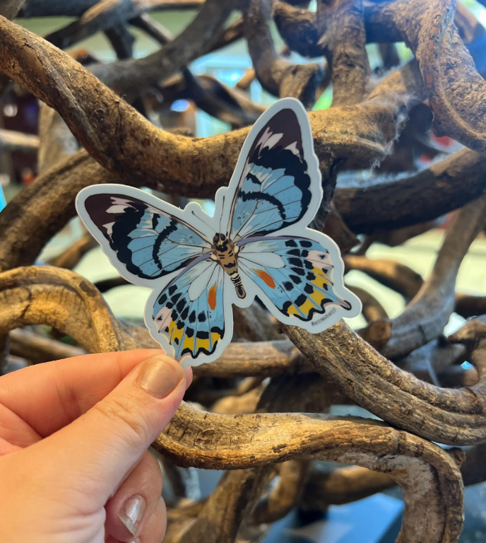 Blue Butterfly Vinyl Sticker