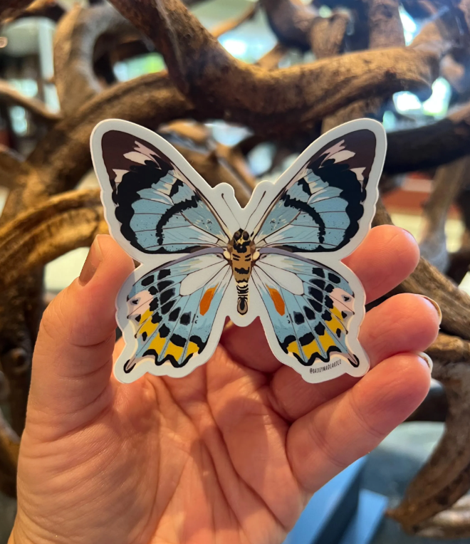 Blue Butterfly Vinyl Sticker