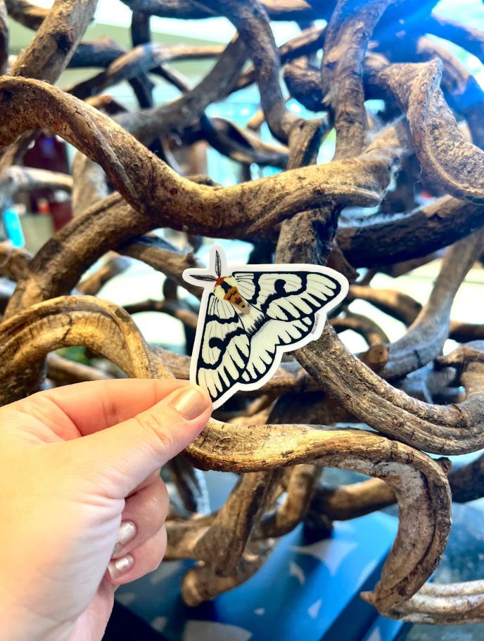 Monochrome Moth Vinyl Sticker