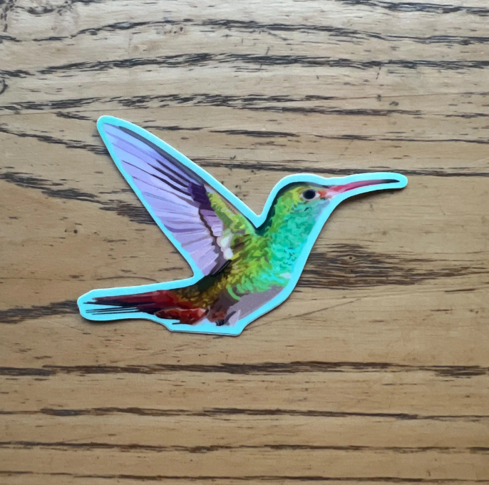 Vibrant and Colorful Hummingbird Vinyl Sticker