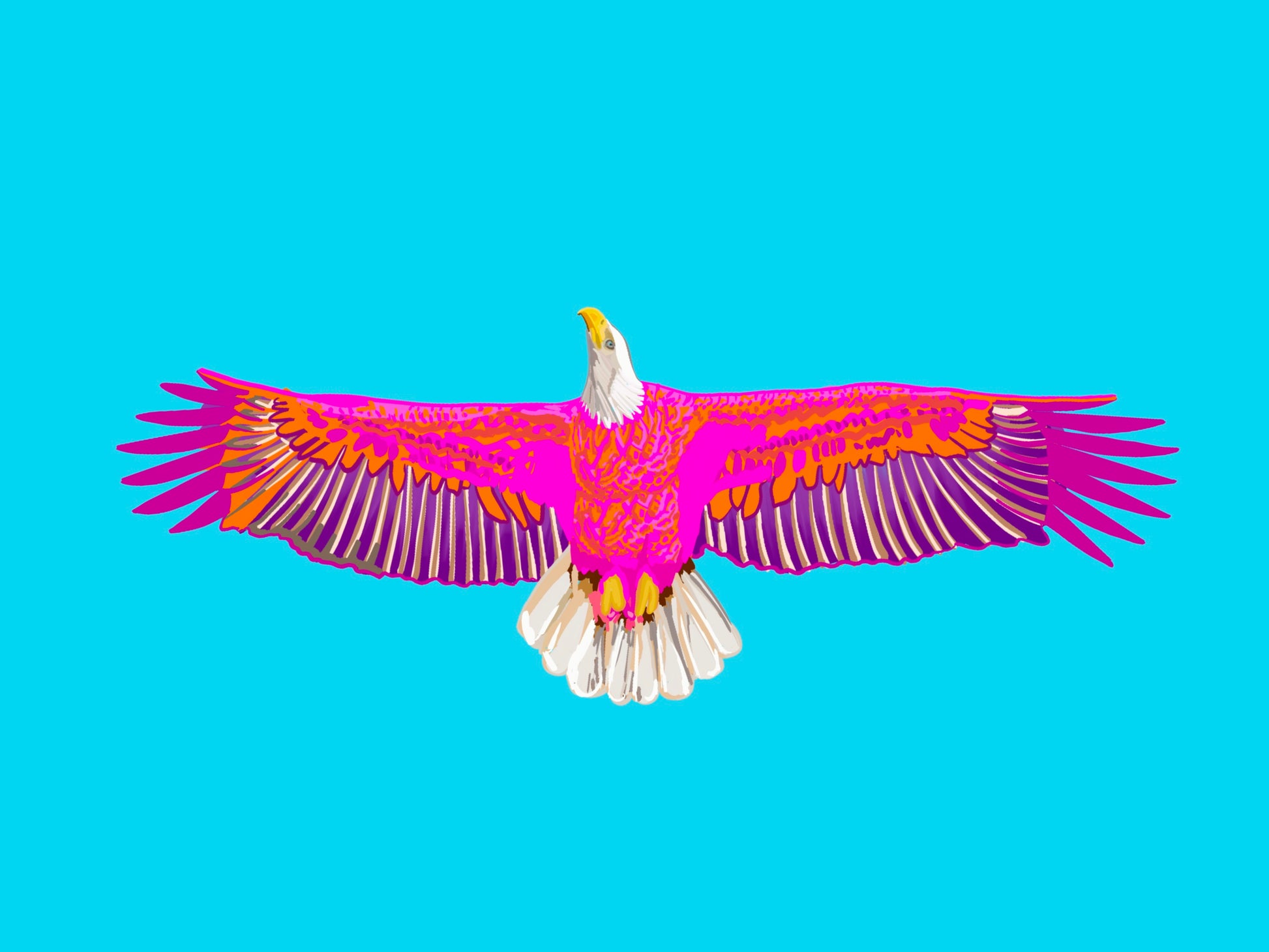 Auburn Eagle Art Print