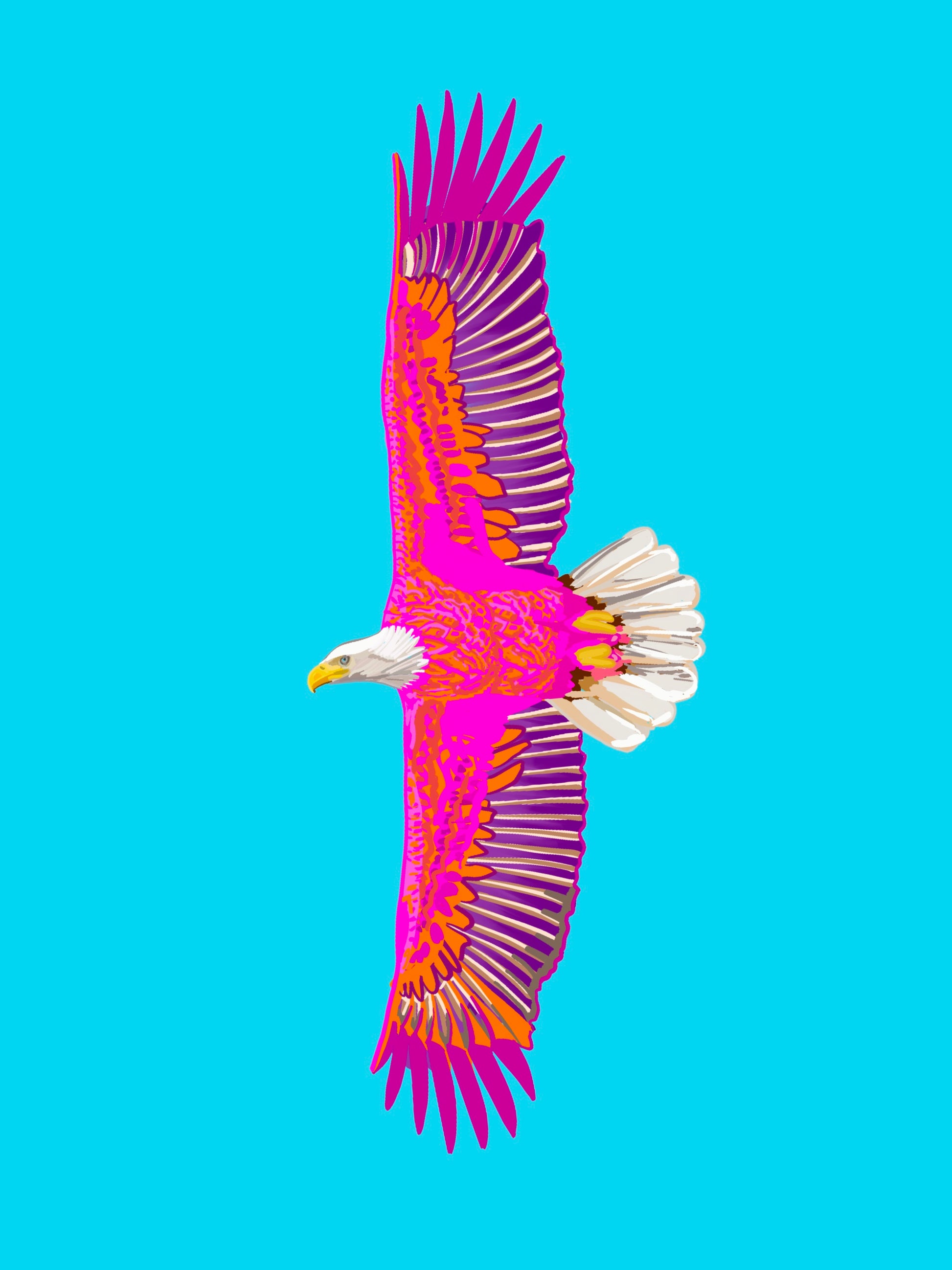 Auburn Eagle Art Print