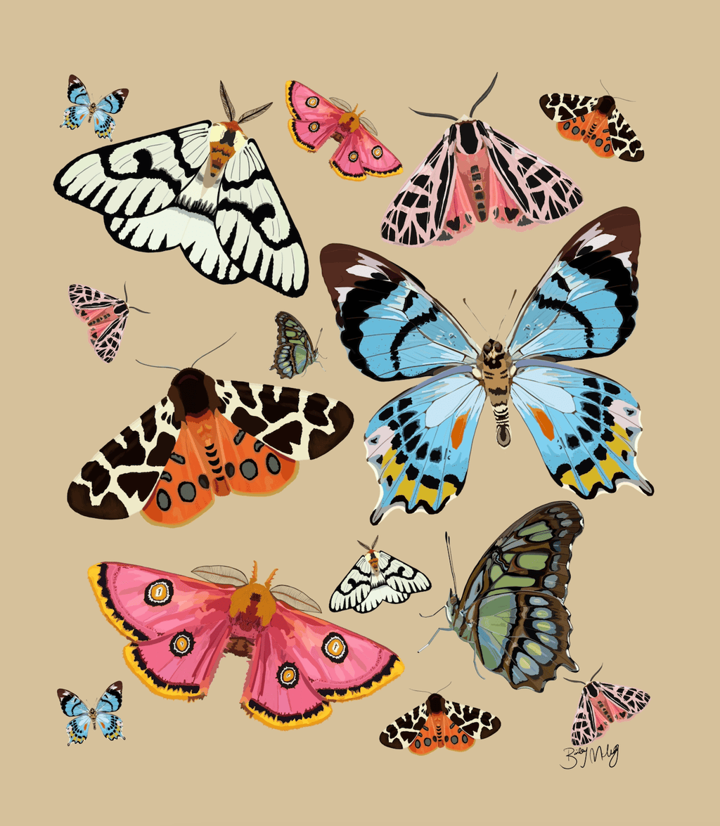 Bailey Made Art Co Butterfly Elegance Art Print 5x7 / BFly on White Art