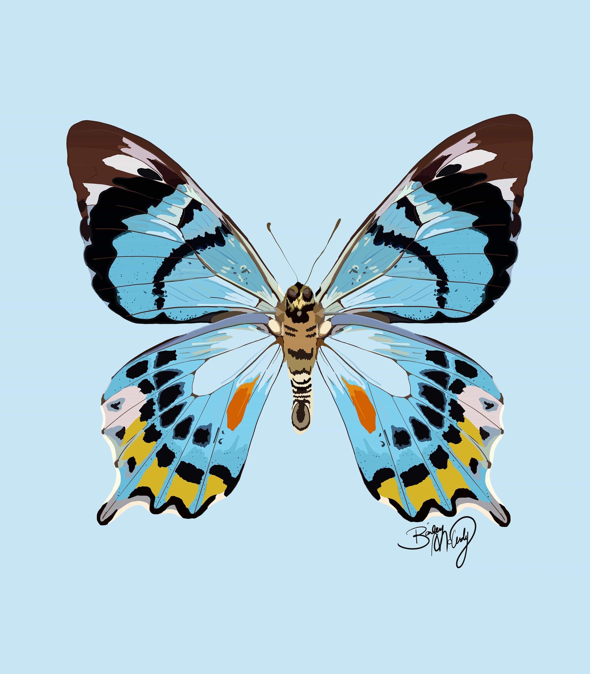 Bailey Made Art Co Blue Butterfly Art Print Art
