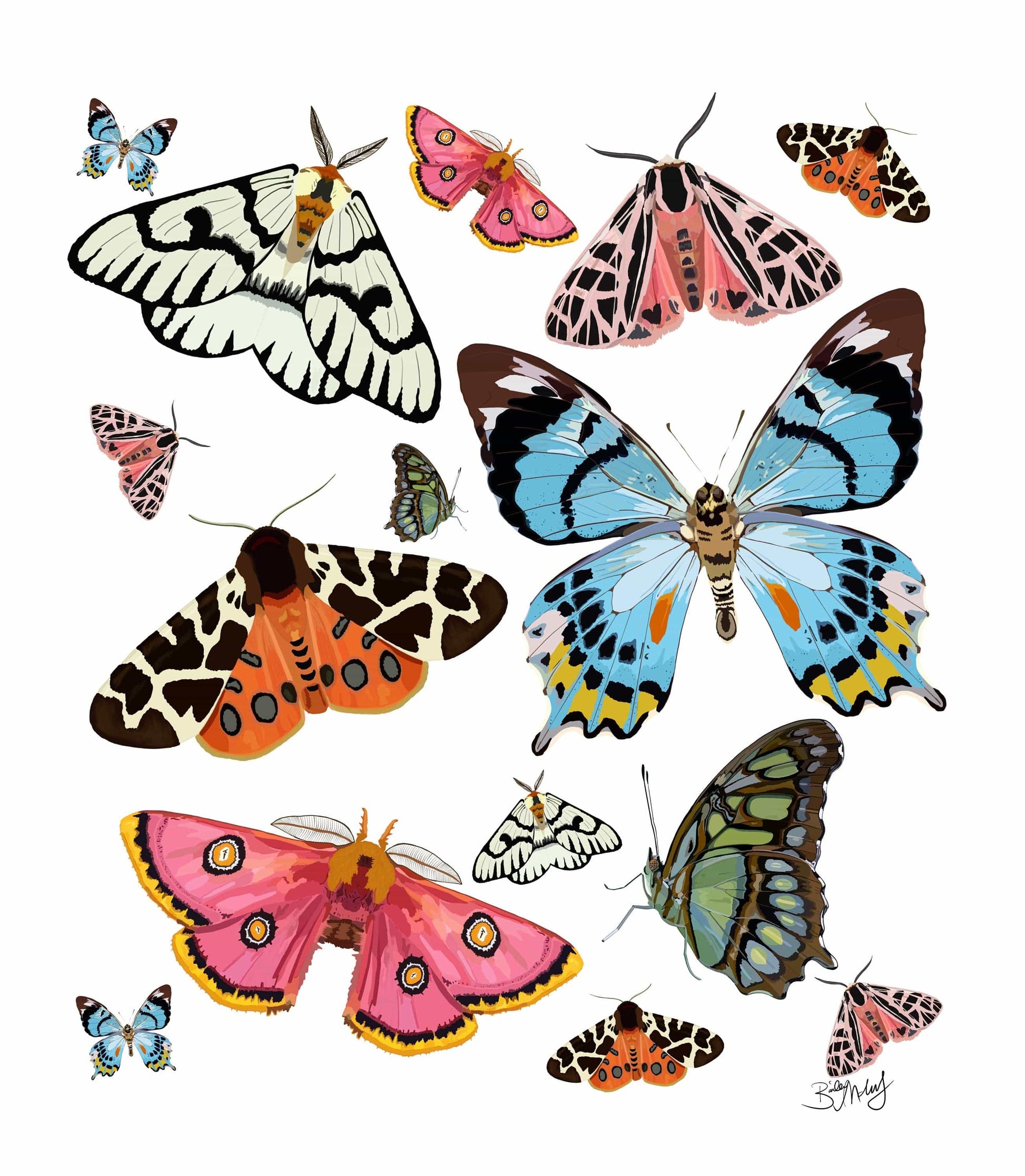 Bailey Made Art Co Butterfly Elegance Art Print Art