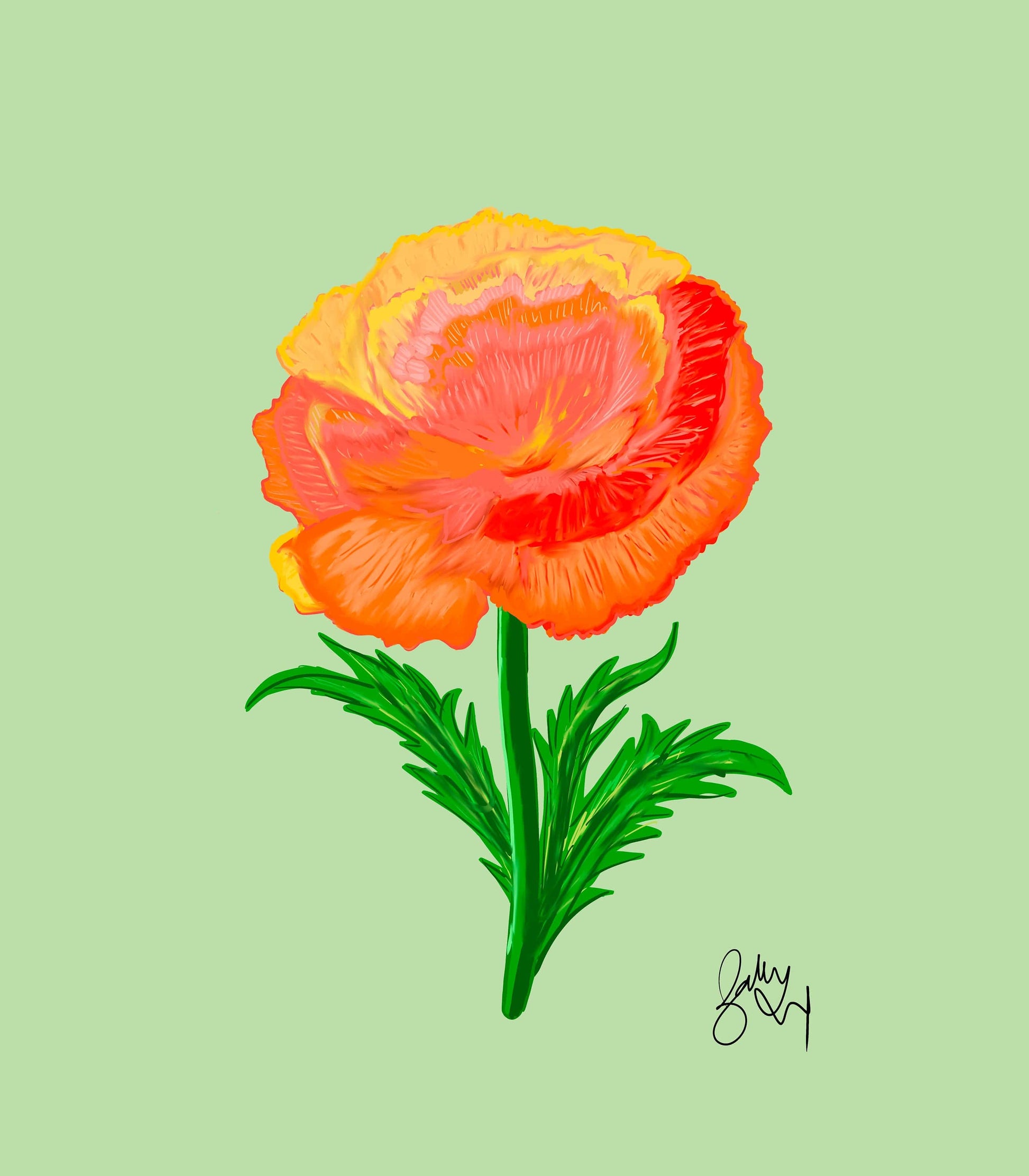 Bailey Made Art Co Carnation Flower Art Print Art