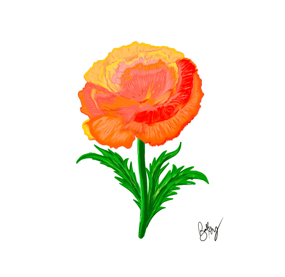 Bailey Made Art Co Carnation Flower Art Print Art
