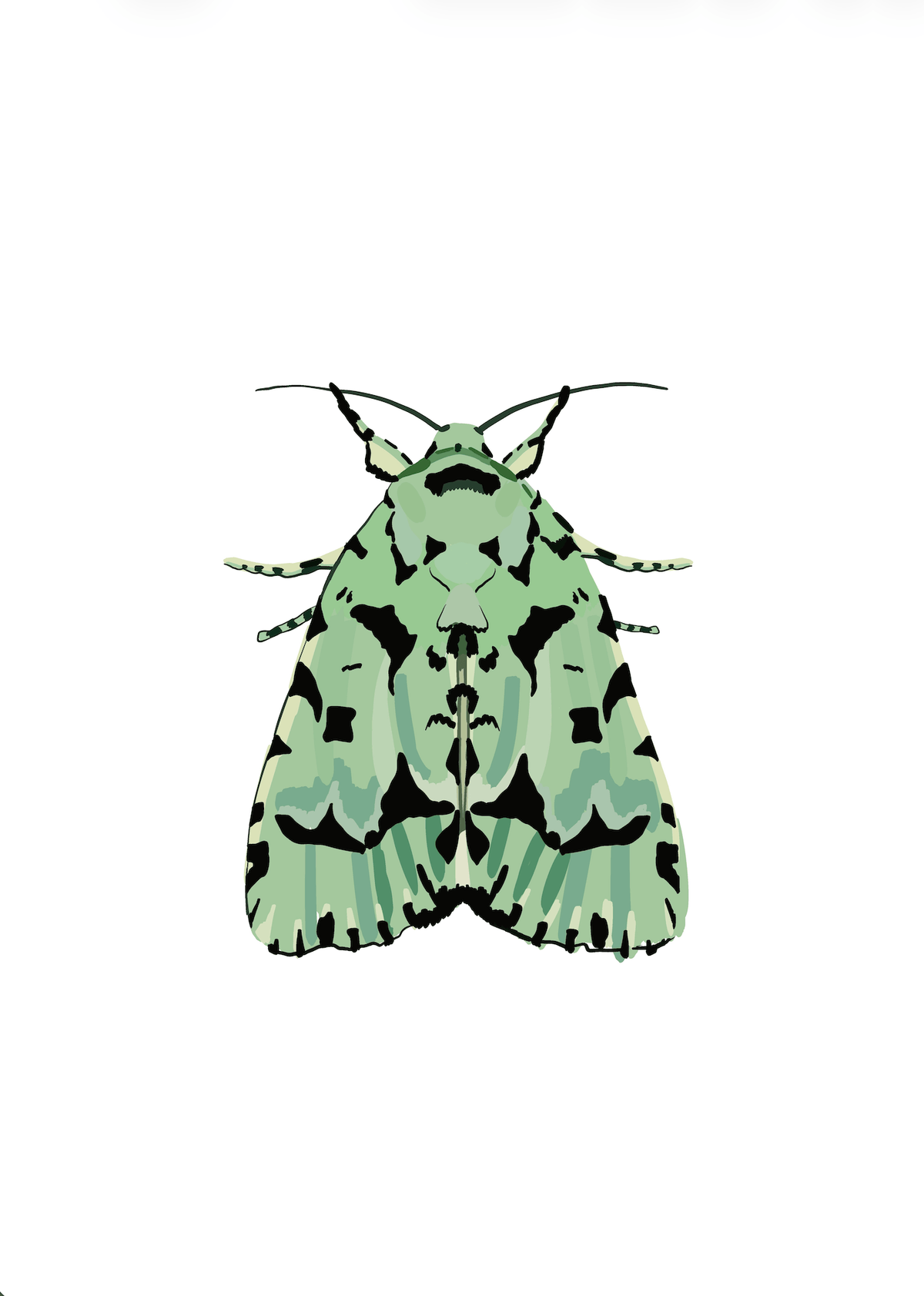 Bailey Made Art Co Clover and Spruce Moth Art