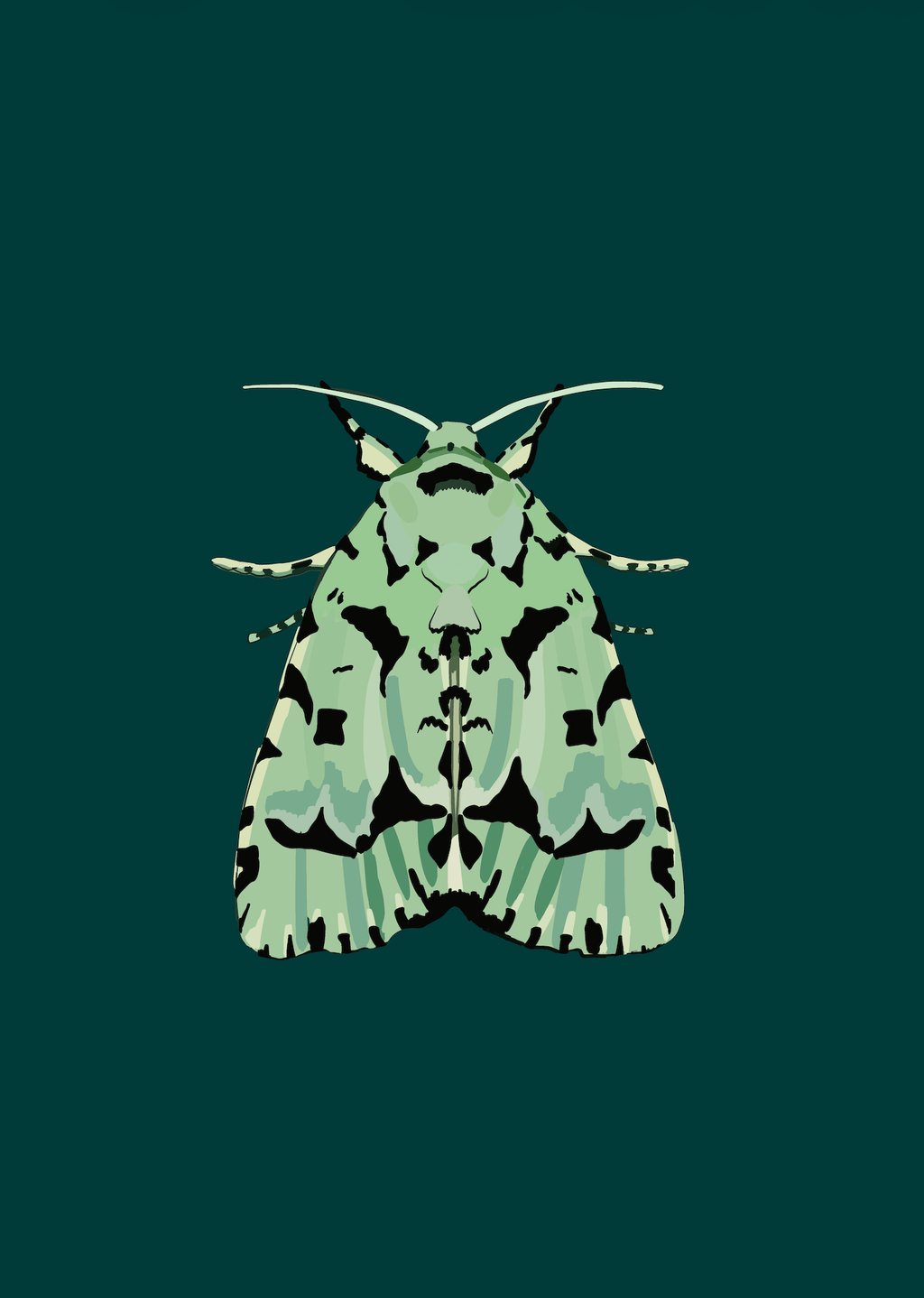 Bailey Made Art Co Clover and Spruce Moth Art