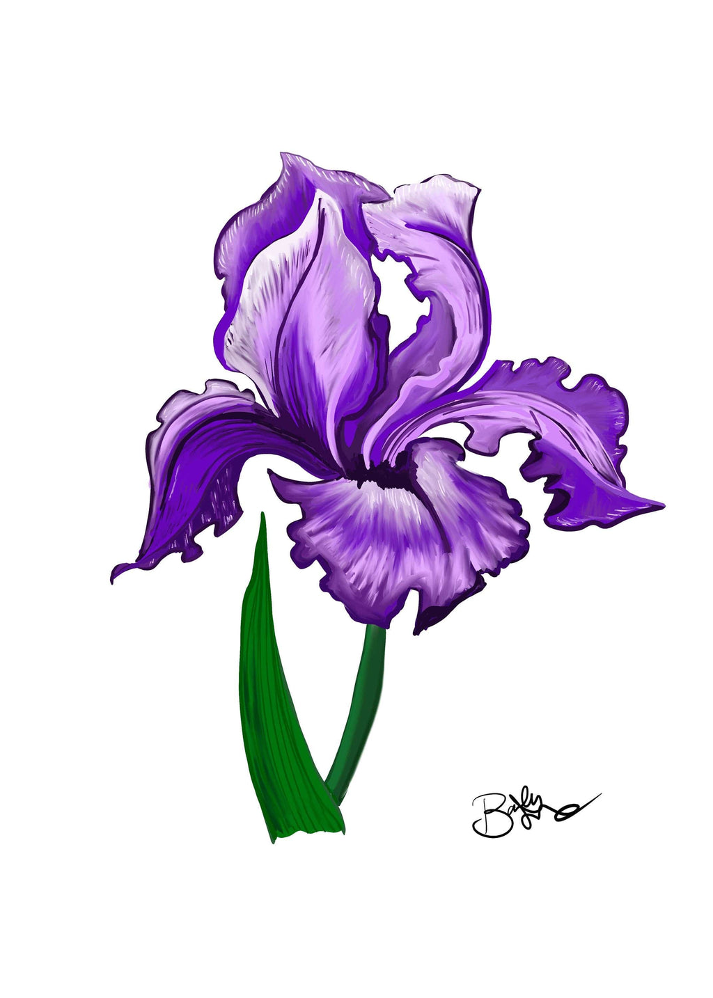 Bailey Made Art Co Iris Botanical Art Print Purple Art