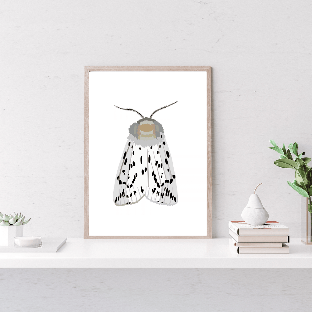 Bailey Made Art Co Miss Dotty Moth Art Print Art