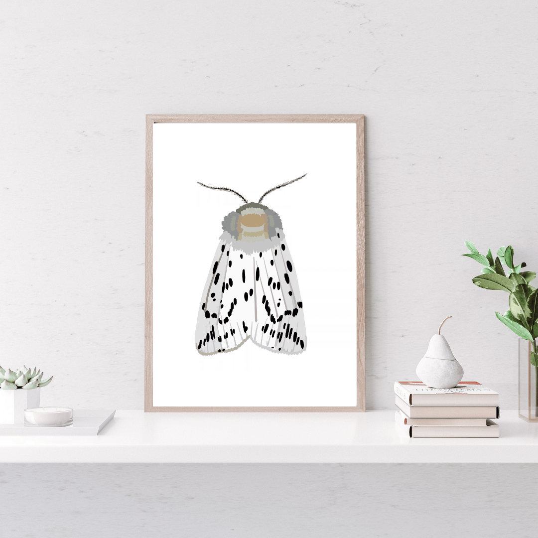 Bailey Made Art Co Miss Dotty Moth Art Print Art