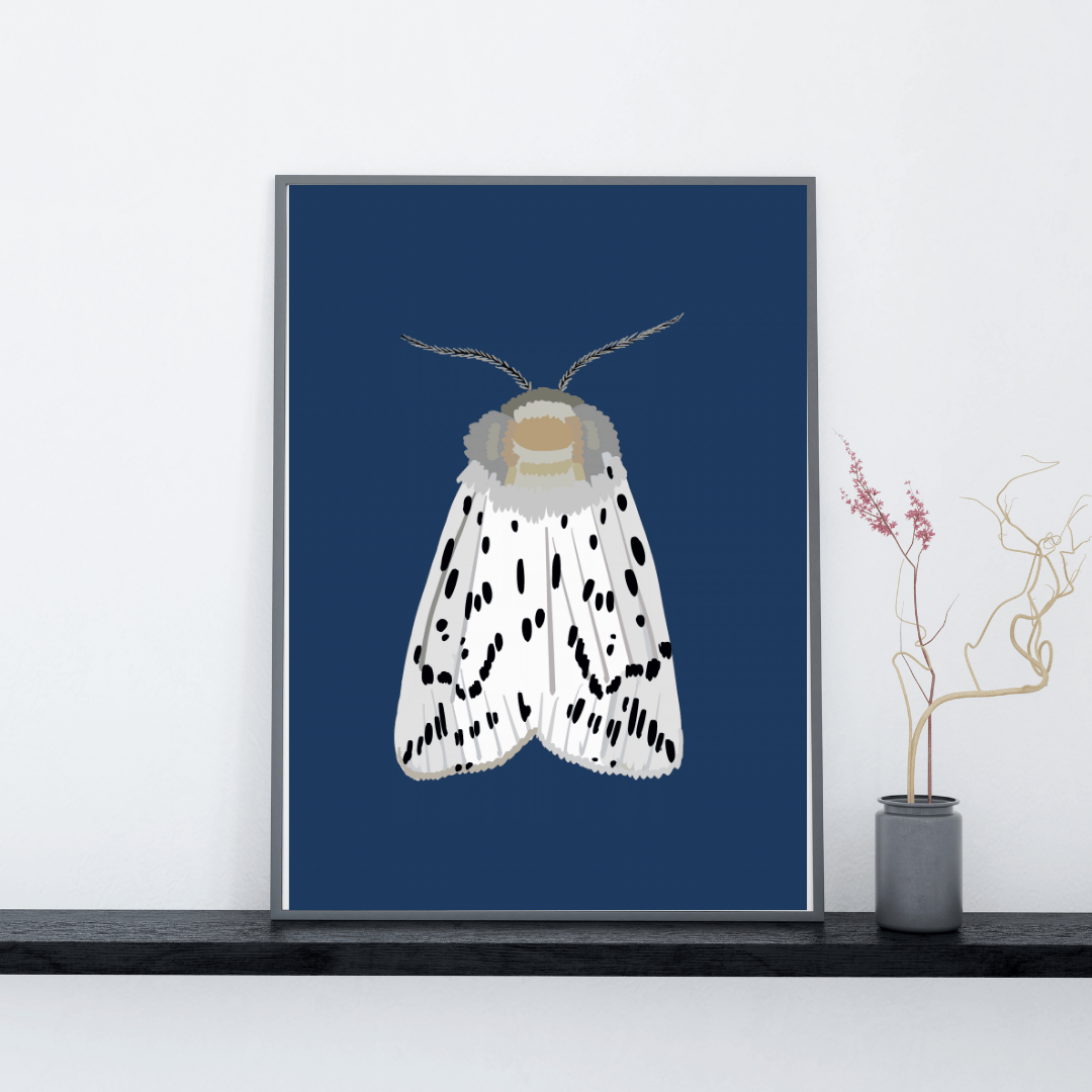 Bailey Made Art Co Miss Dotty Moth Art Print Art