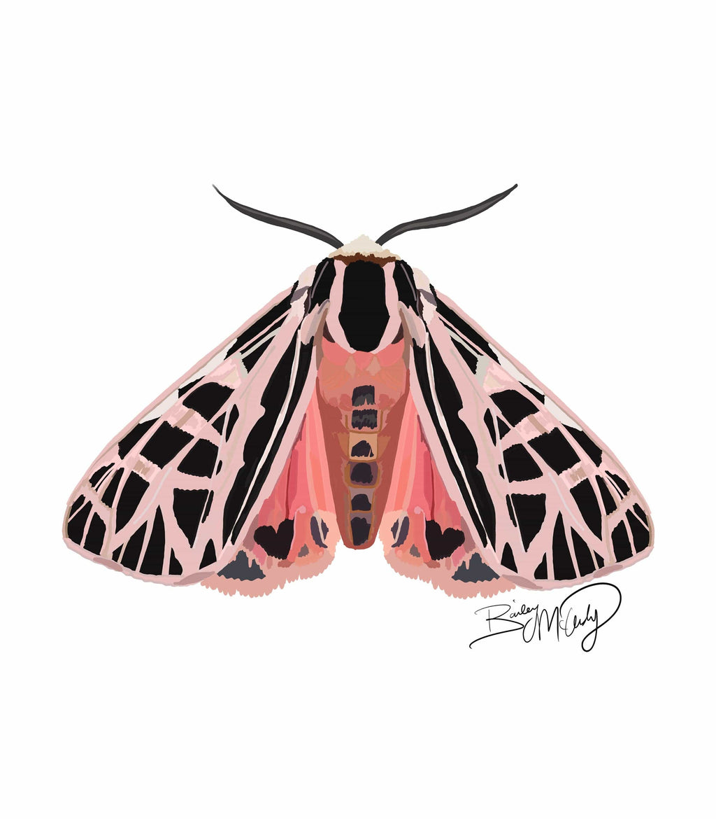 Bailey Made Art Co Miss Peach Parka Moth Art Print Art