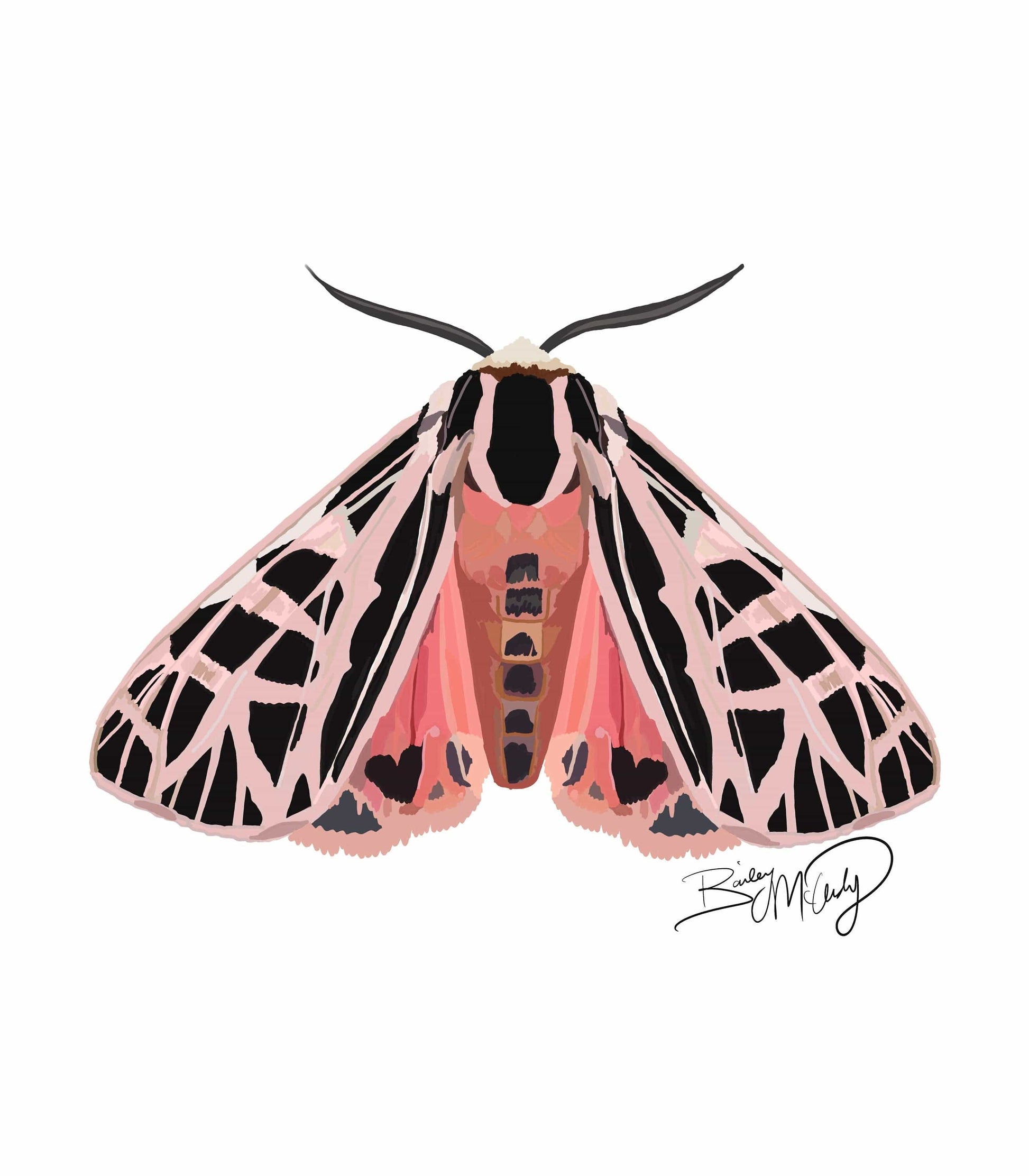 Bailey Made Art Co Miss Peach Parka Moth Art Print Art