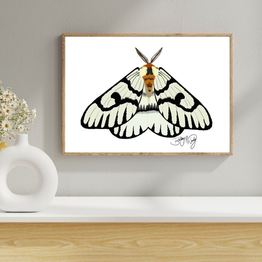 Bailey Made Art Co Monochrome Moth Art Print Art