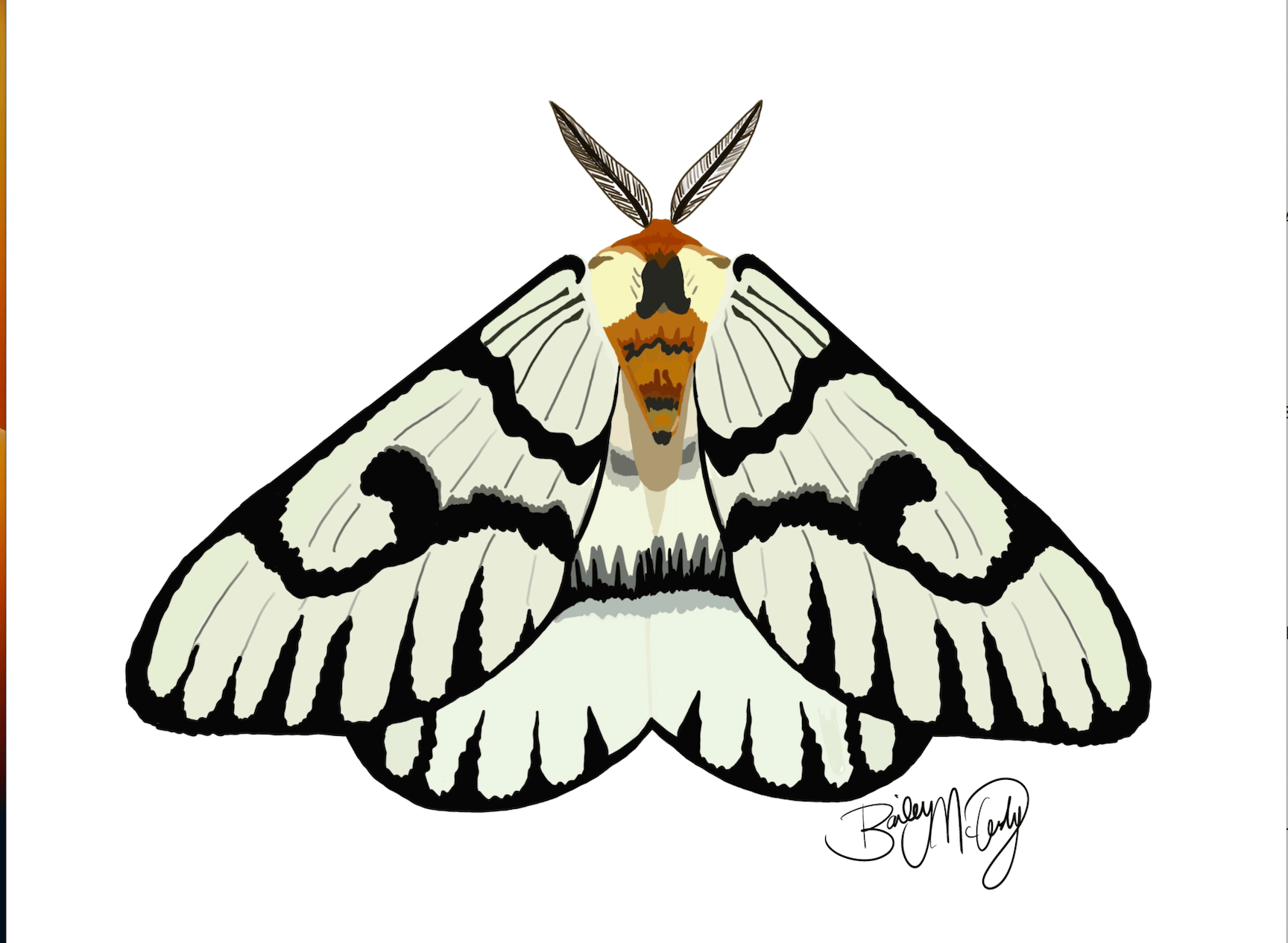 Bailey Made Art Co Monochrome Moth Art Print Art