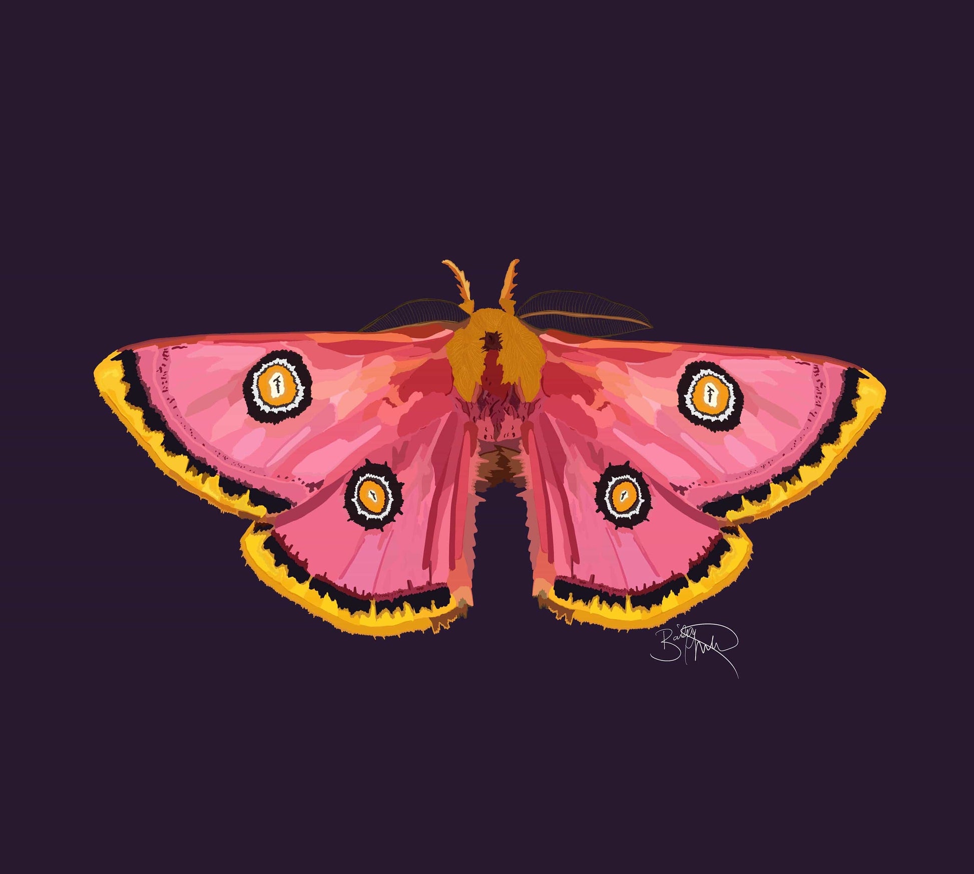 Bailey Made Art Co Moth Print Eggplant Art