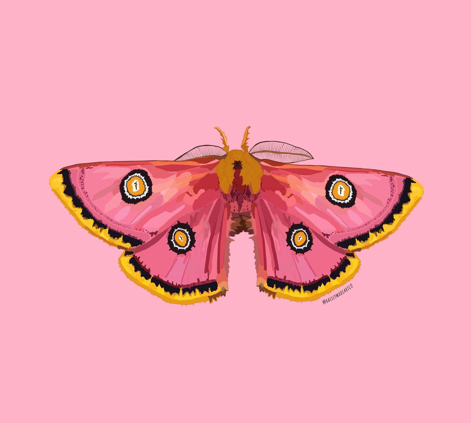Bailey Made Art Co Moth Print on Pink Art Print Art