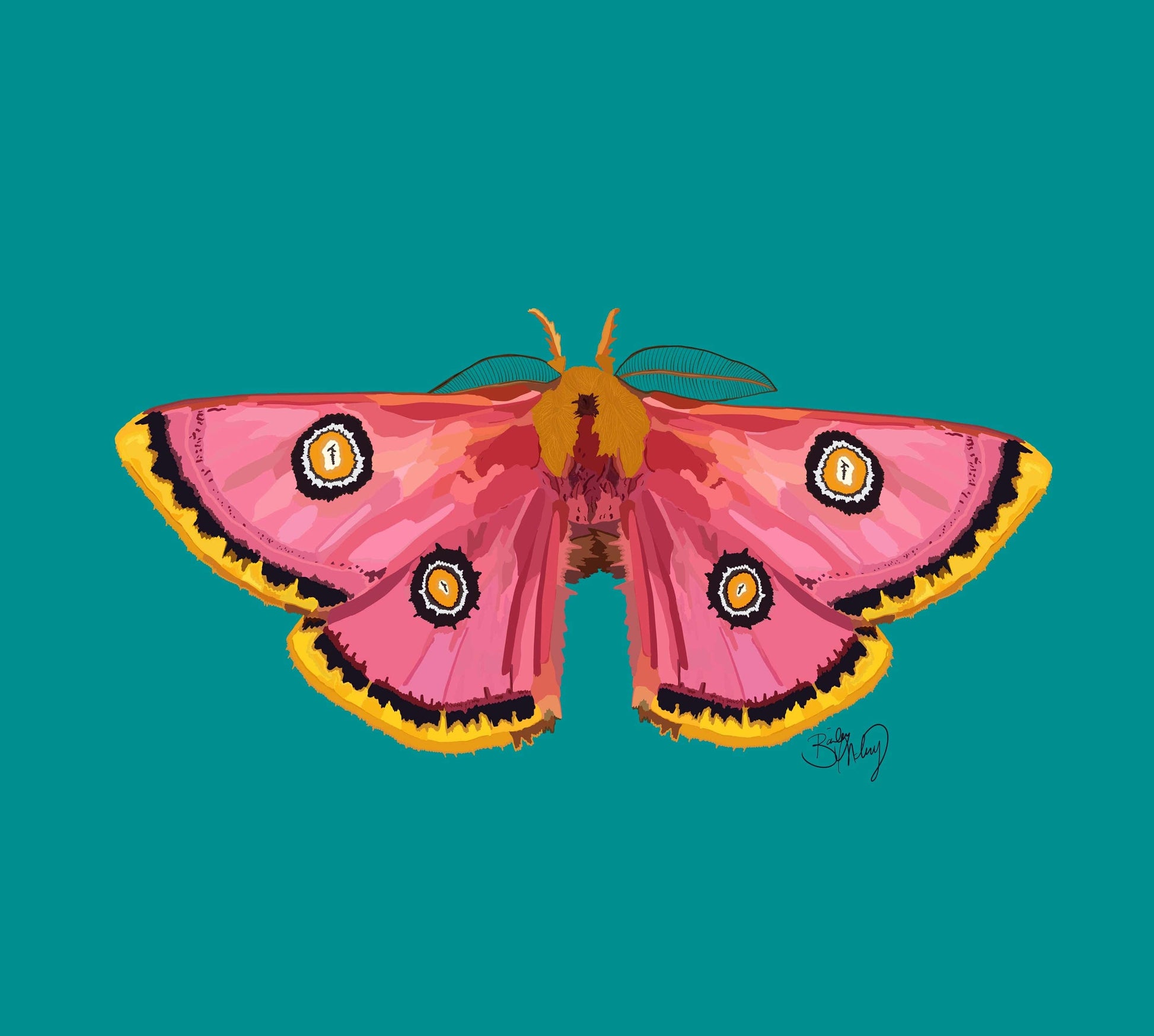 Bailey Made Art Co Moth Print (Teal) Art