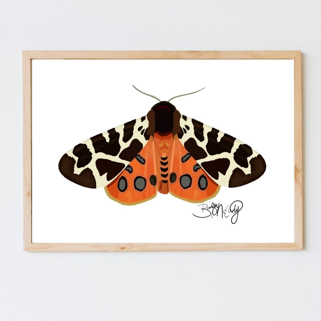 Bailey Made Art Co Moth Print "Tiger Moth" Art