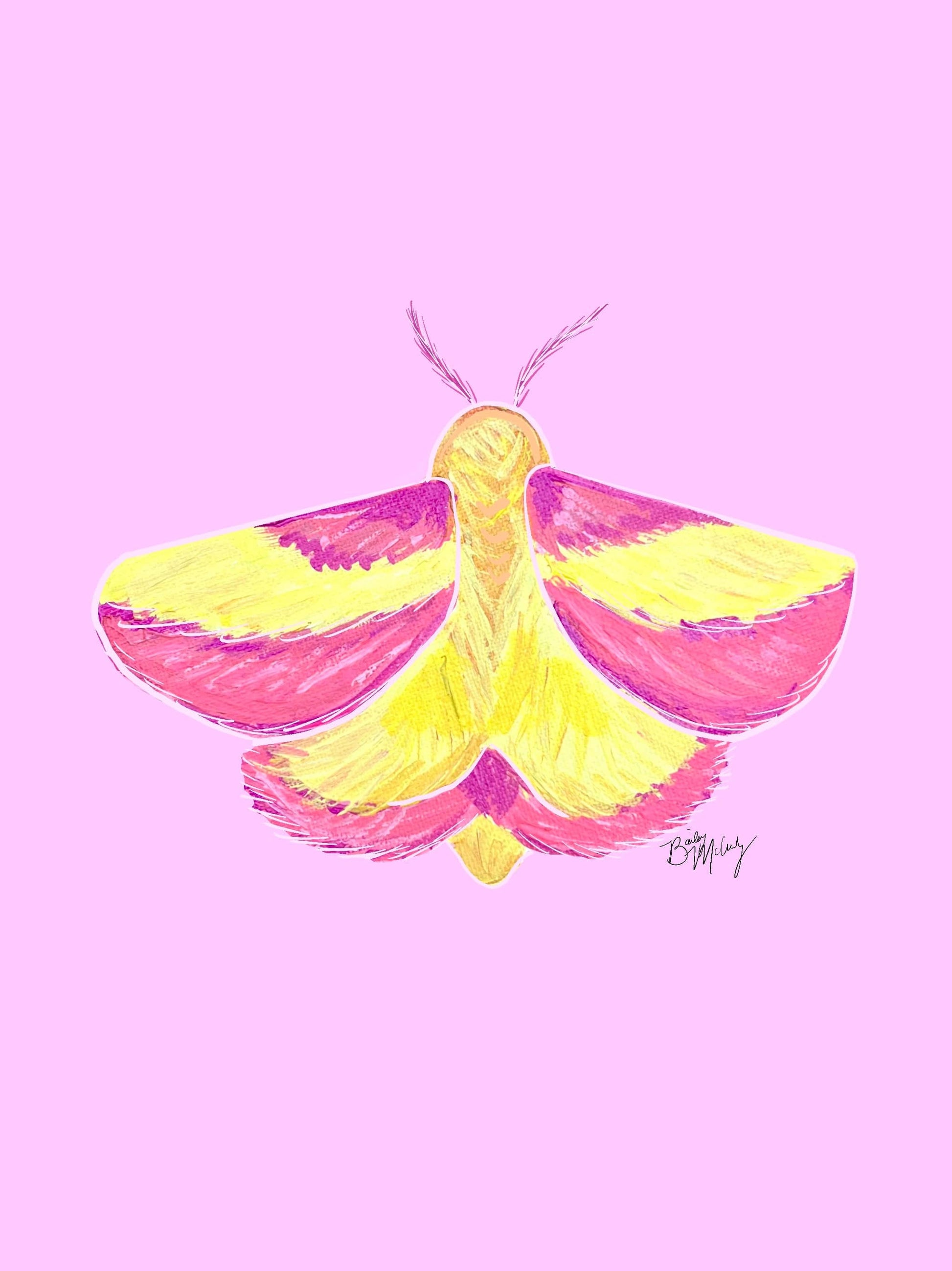 Bailey Made Art Co Moth- Rosy Maple Moth Art Print Art