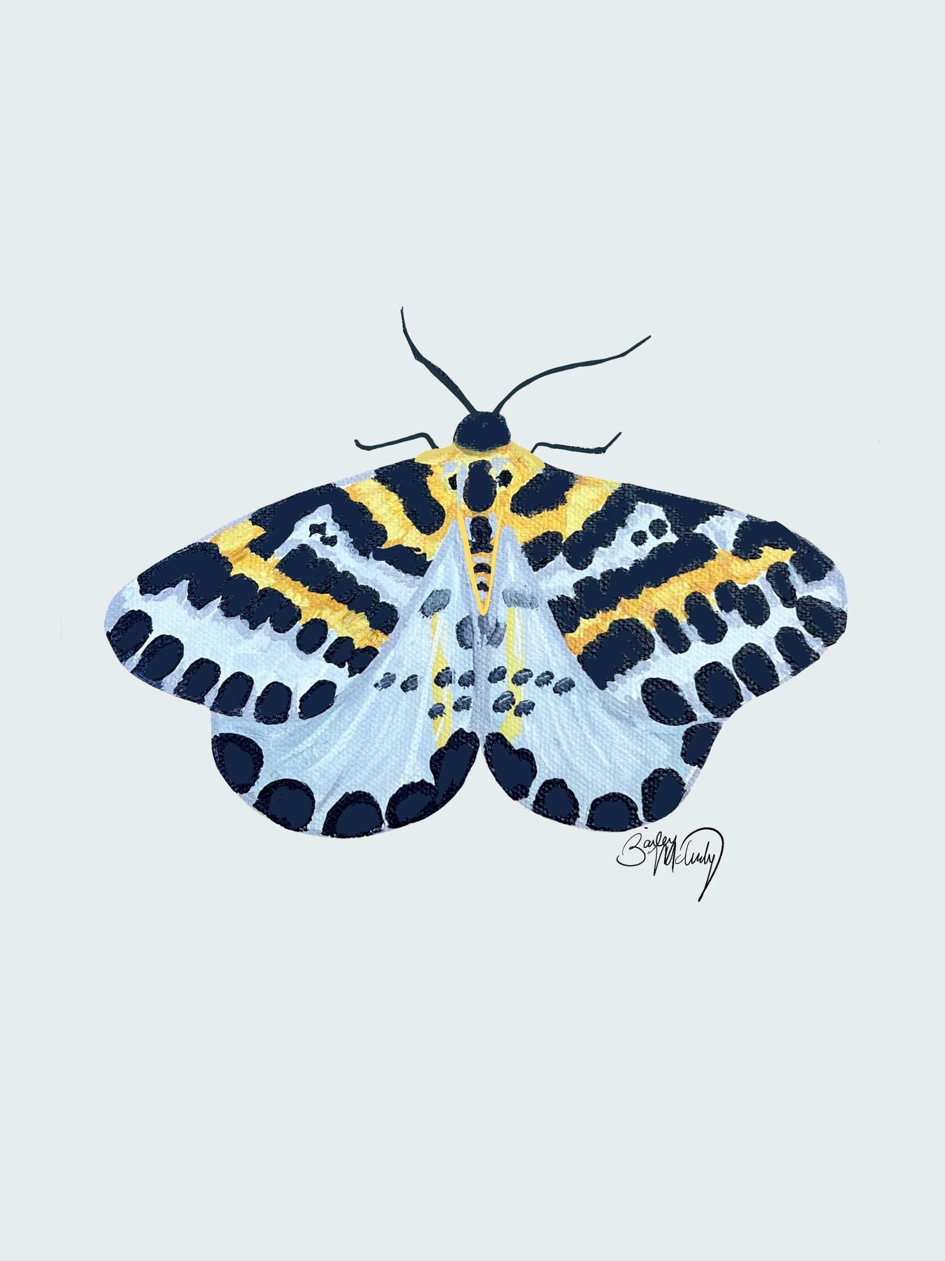 Bailey Made Art Co Moth- Spotted Moth Art Print Art