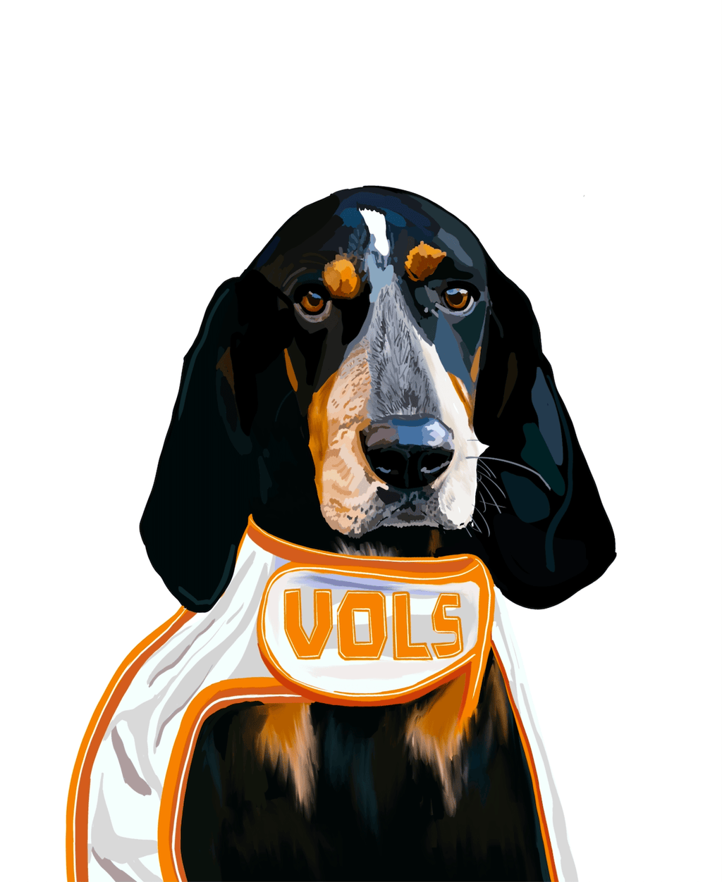 Bailey Made Art Co Officially Licensed University of Tennessee Classic Smokey Art Print Art