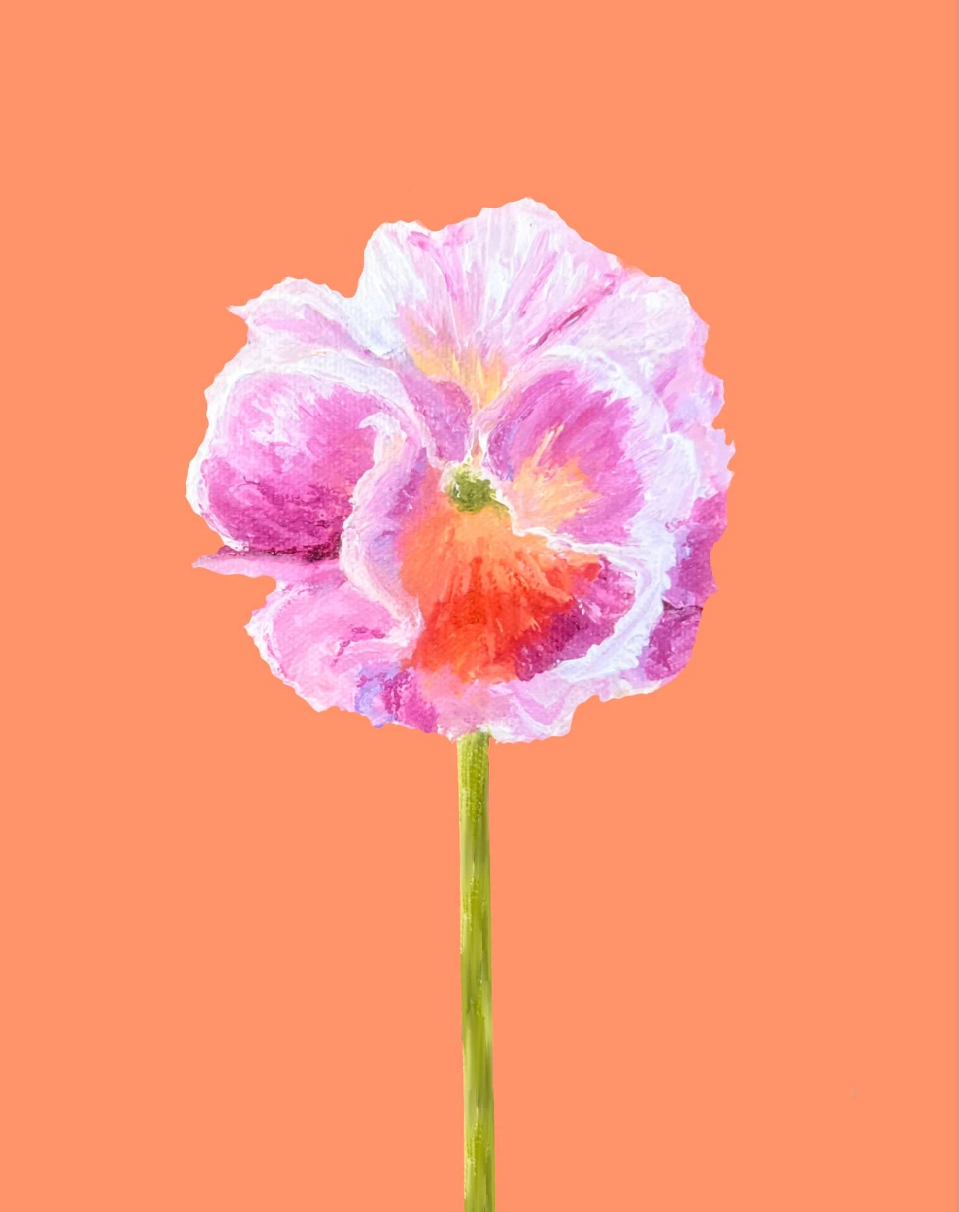 Bailey Made Art Co Pansy Art Print- Pink and White Ruffled Pansy on Tangerine Background Art