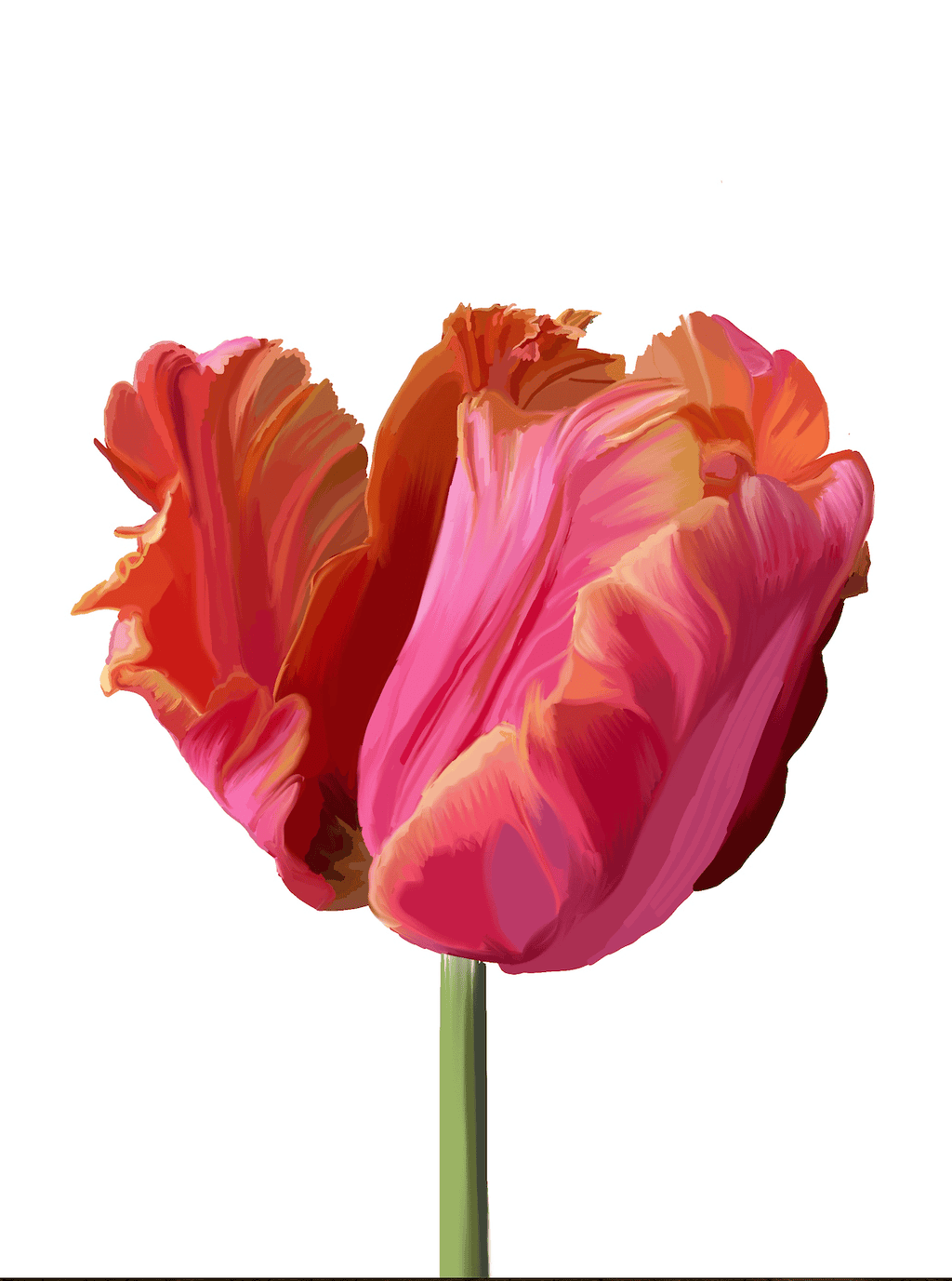 Bailey Made Art Co Pink Tulip Art Print Art