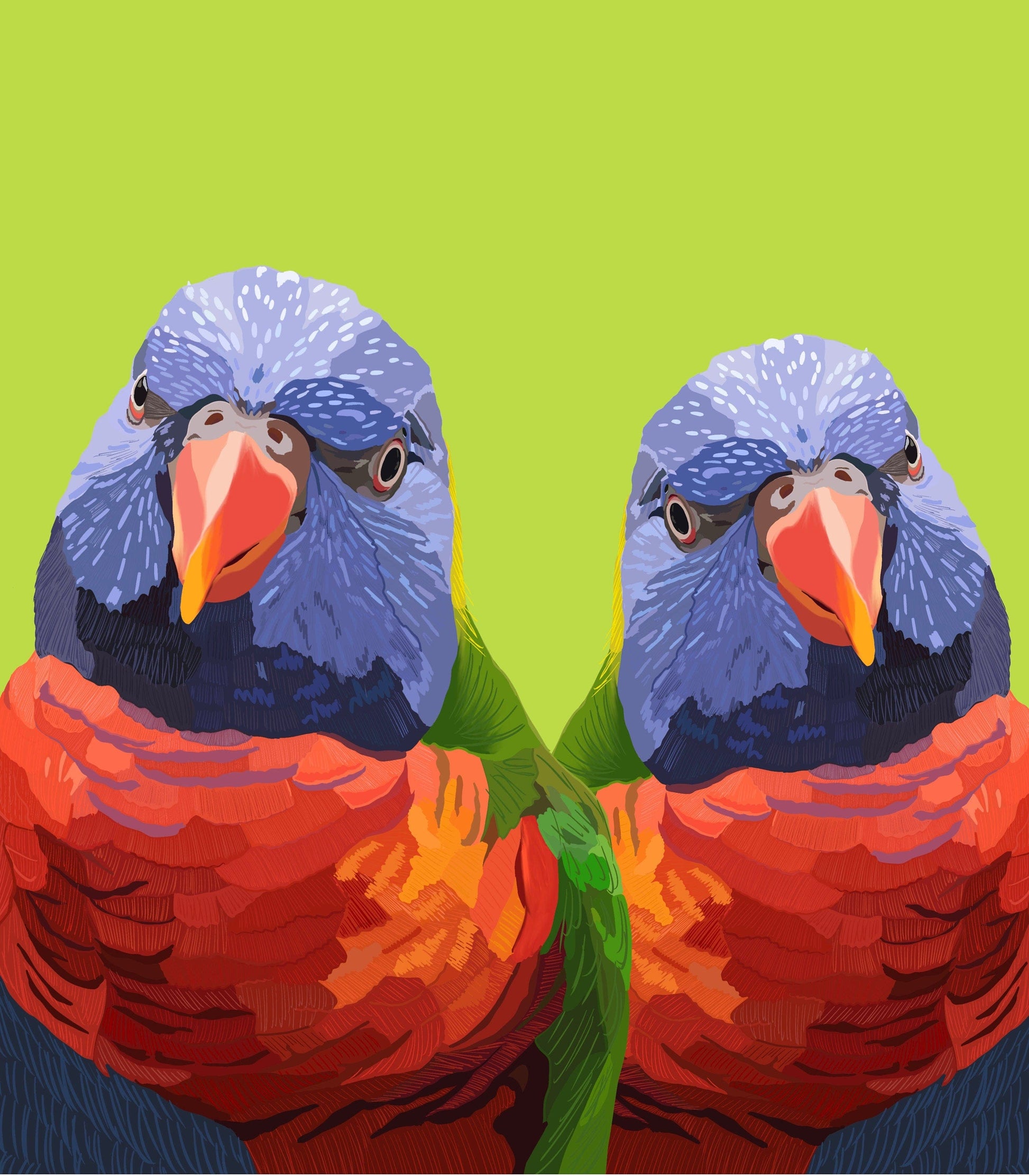 Bailey Made Art Co Rainbow Lorikeet Birds Print Art