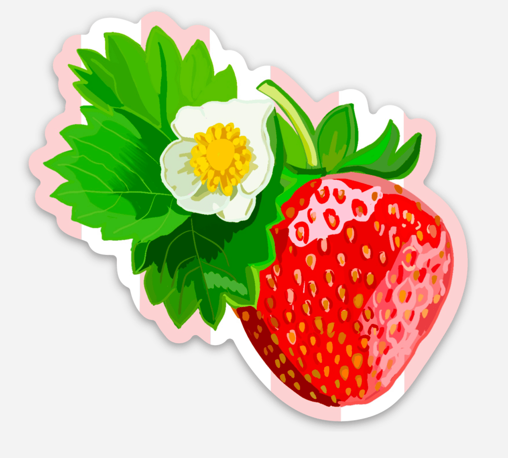 Bailey Made Art Co Strawberry Vinyl Sticker Sticker